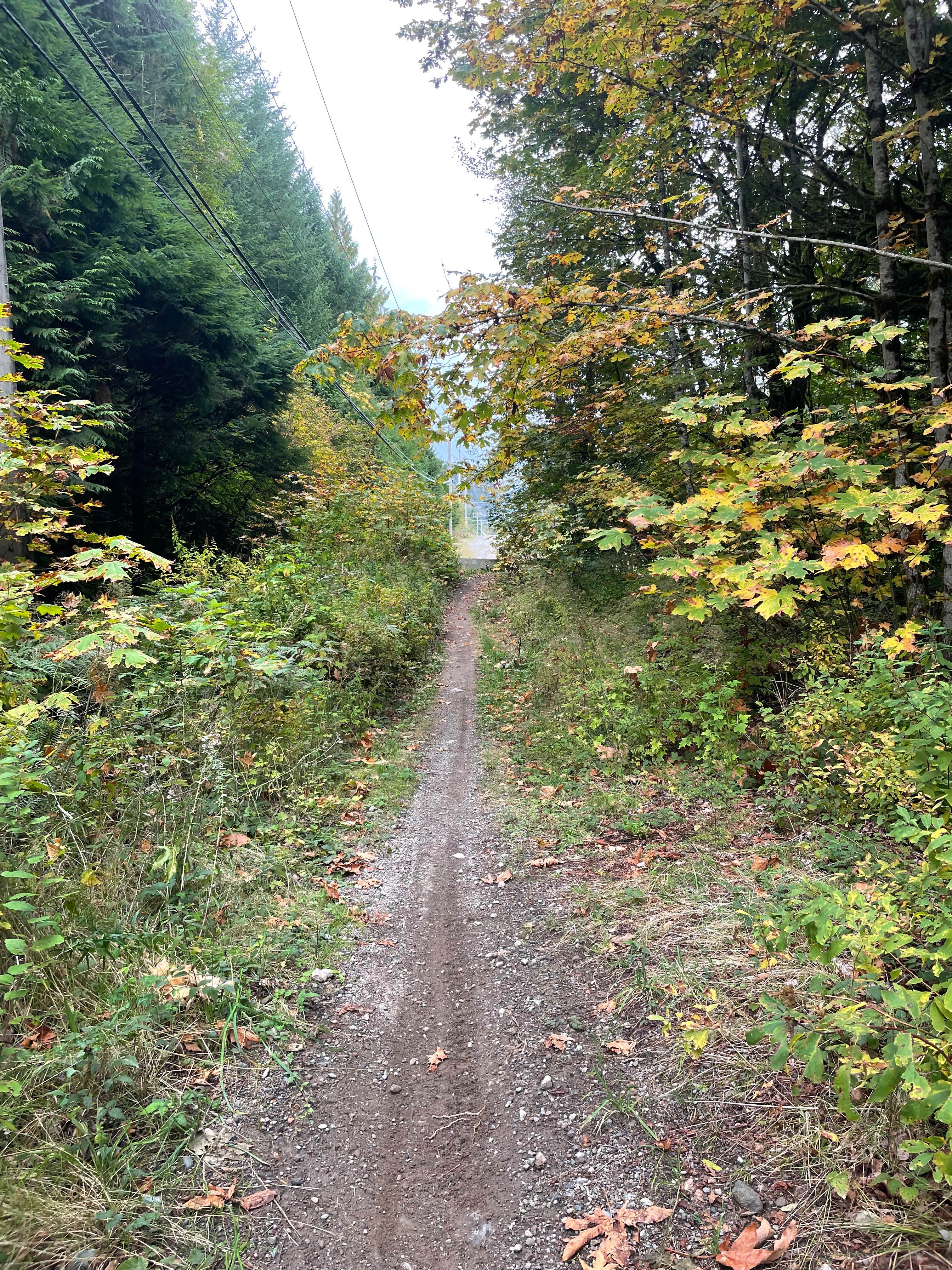 Old Government Road Single Track