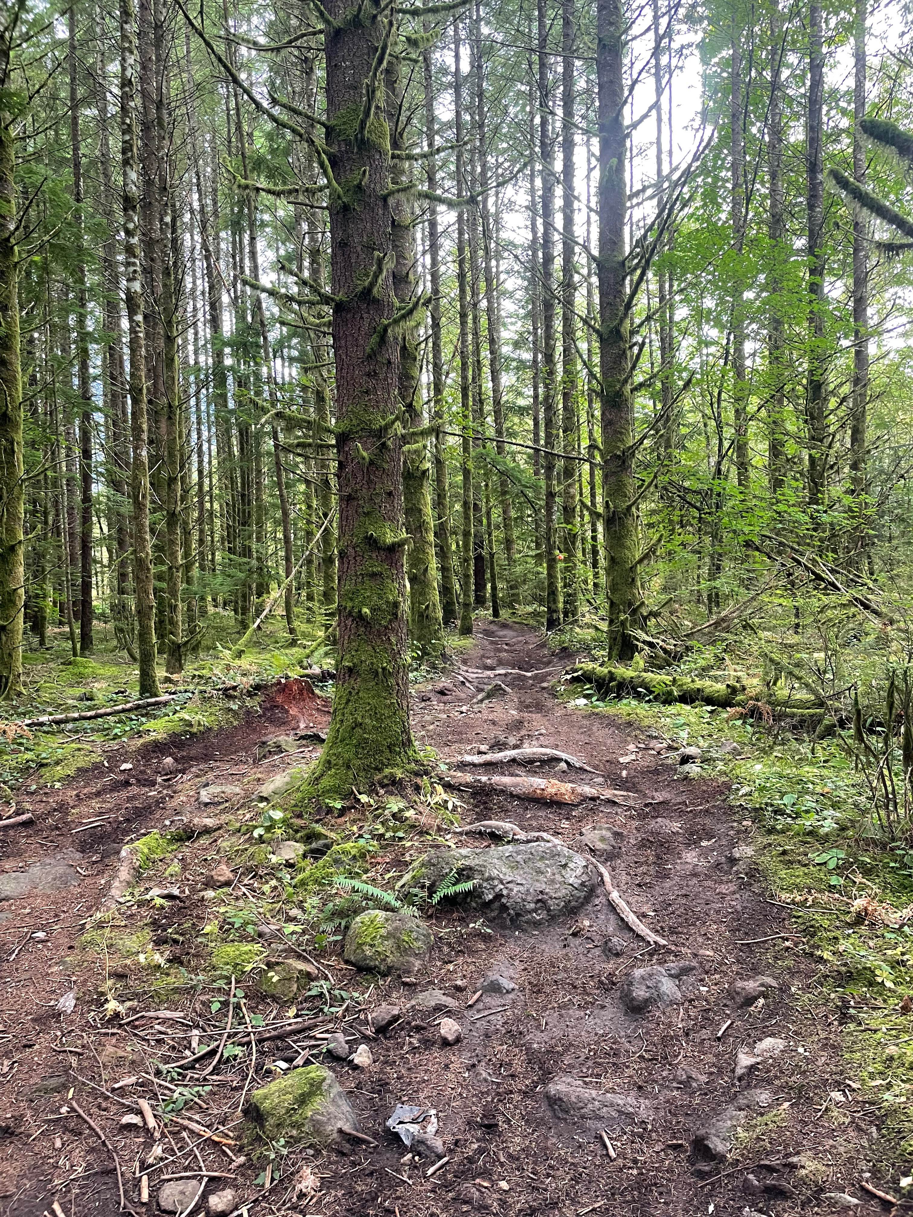 Even Flow North Connector