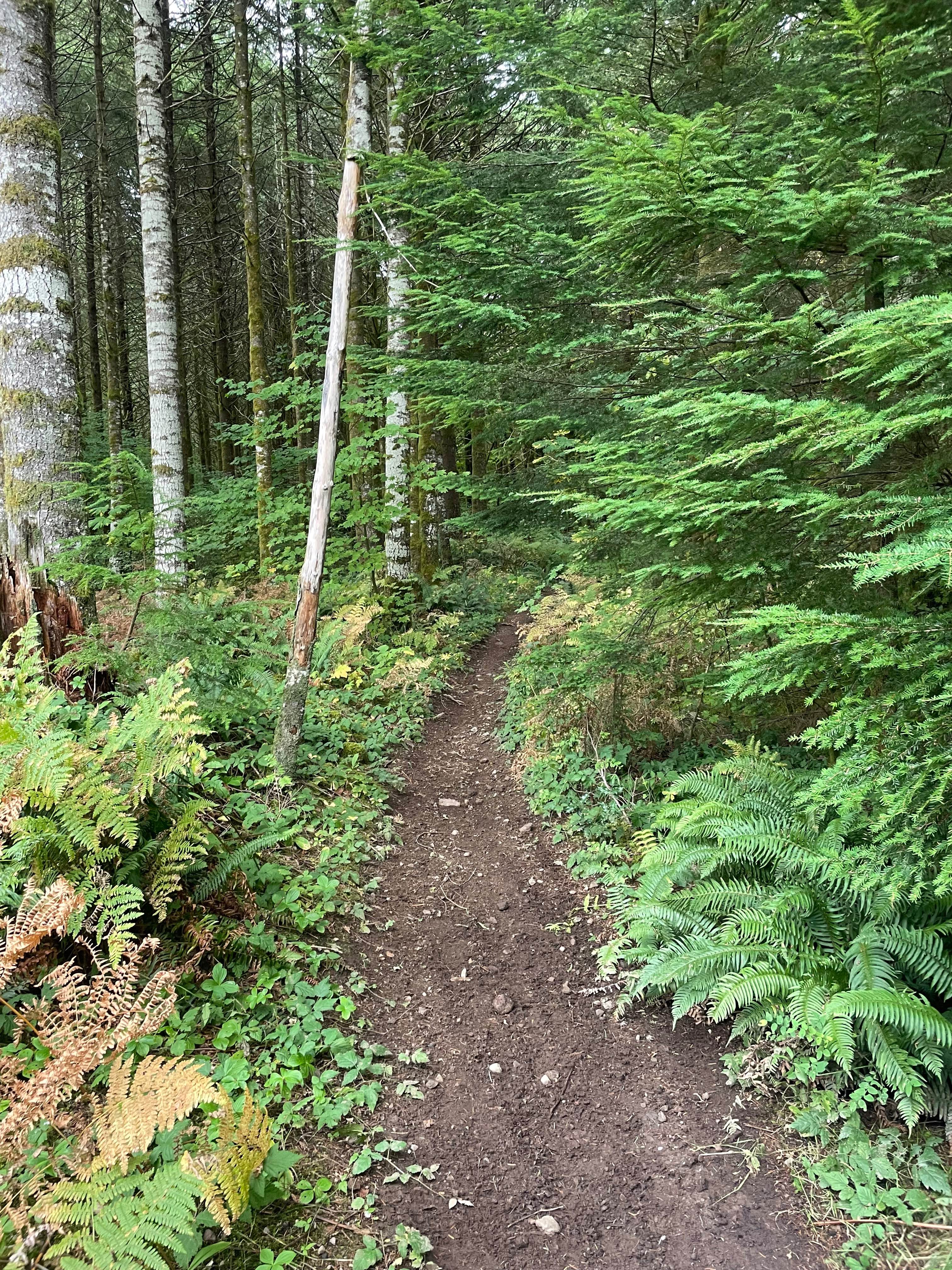 Follow Your Nose - Even Flow Connector