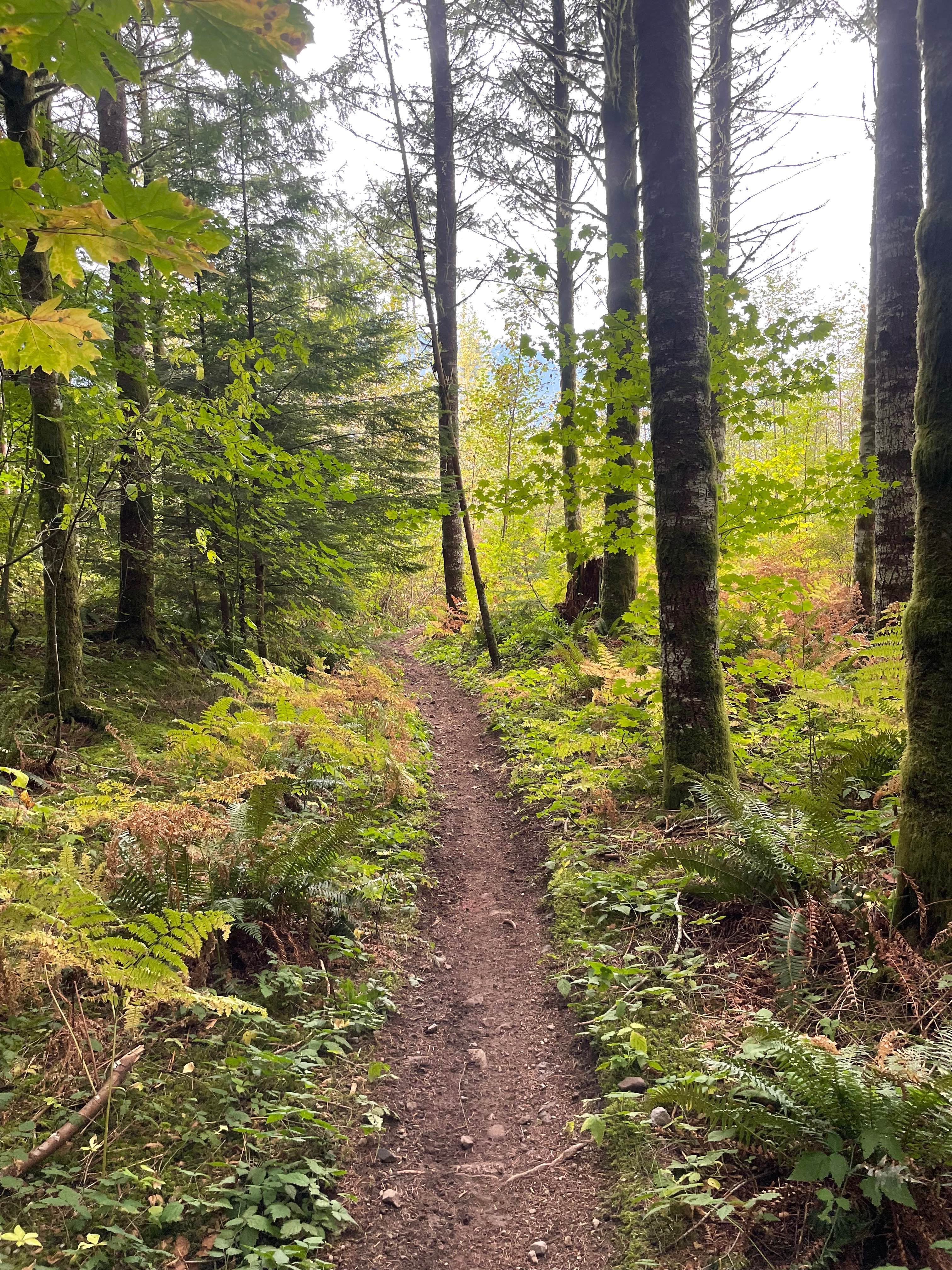 Follow Your Nose - Even Flow Connector