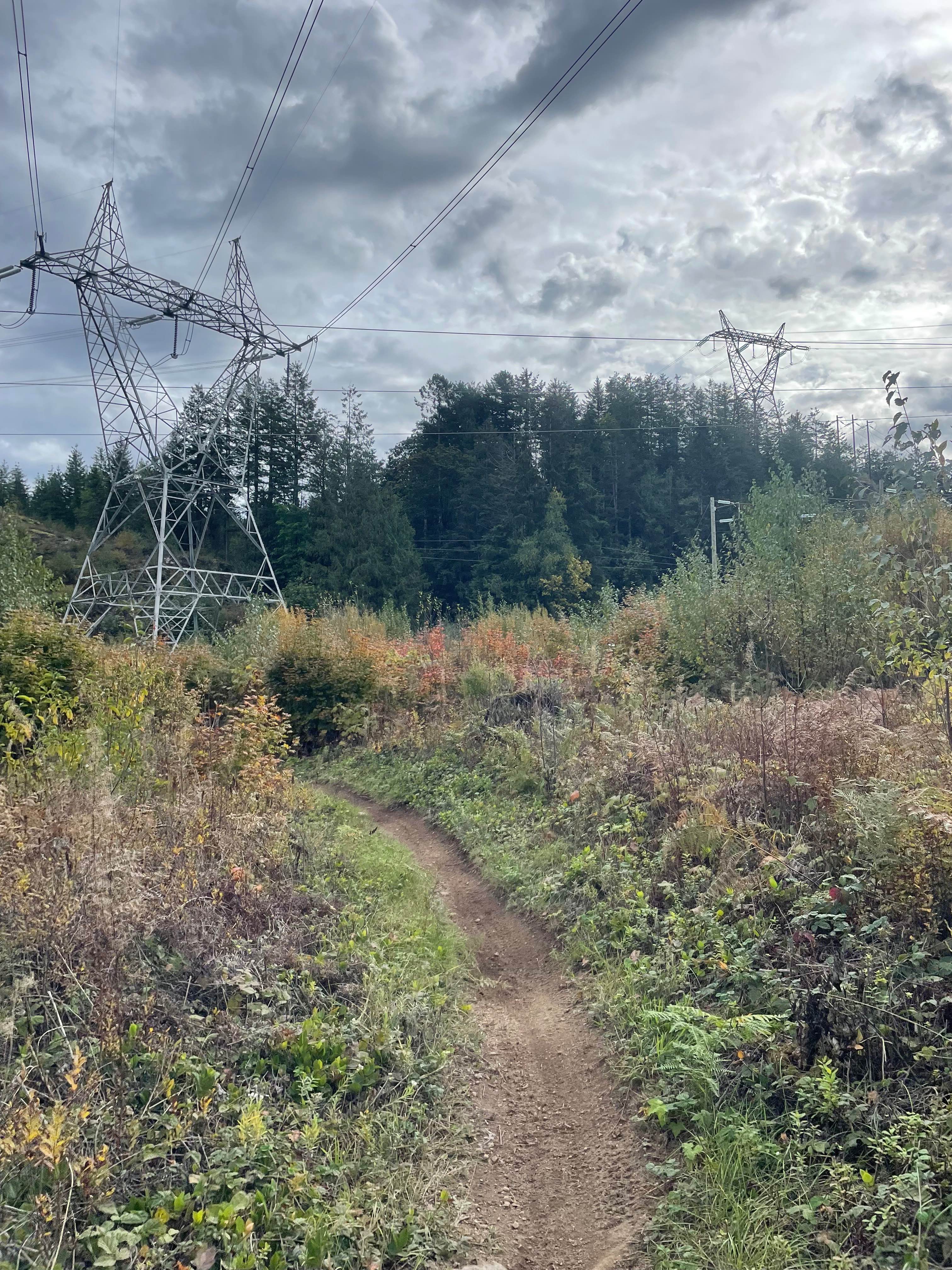 Motocross Track to Rob's Rip Connector