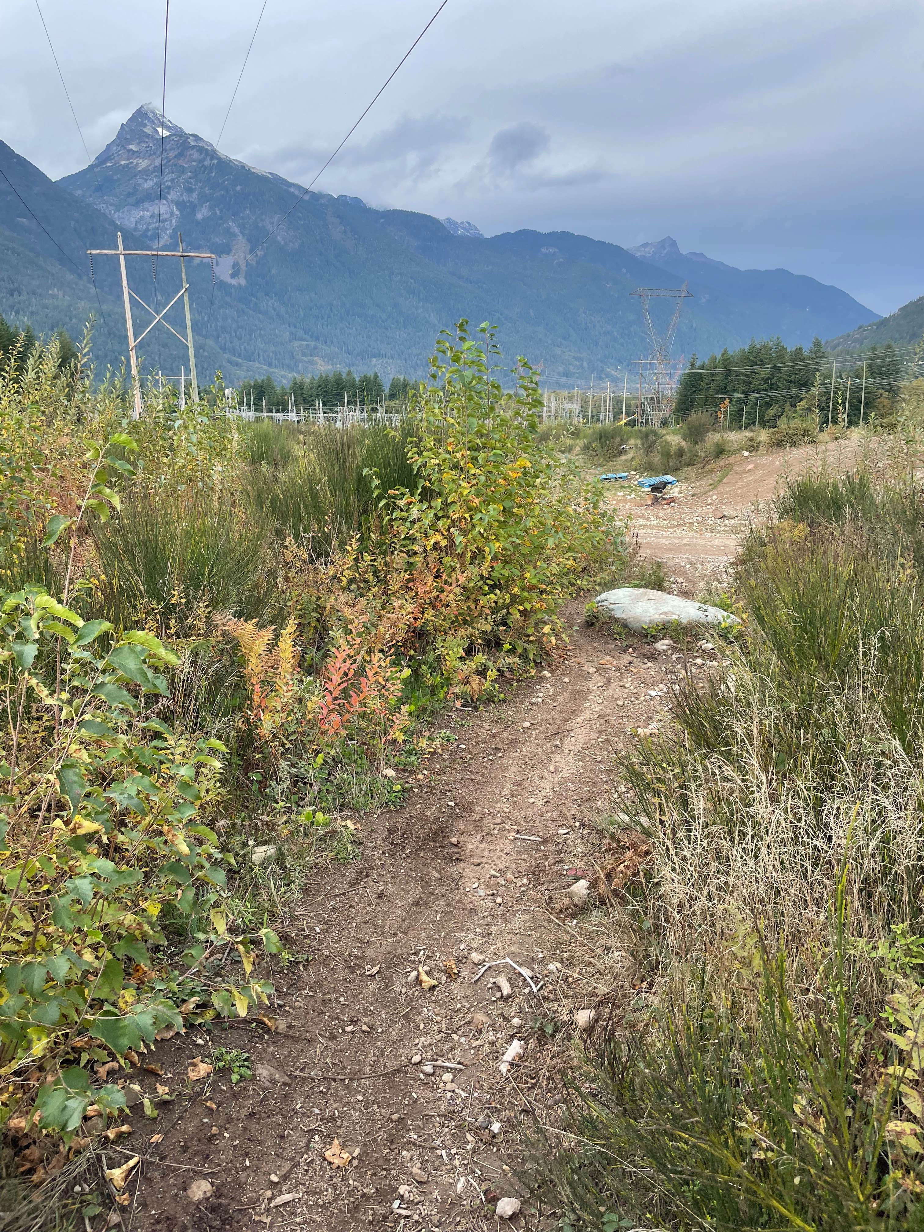 Rob's Rip Cut Out West