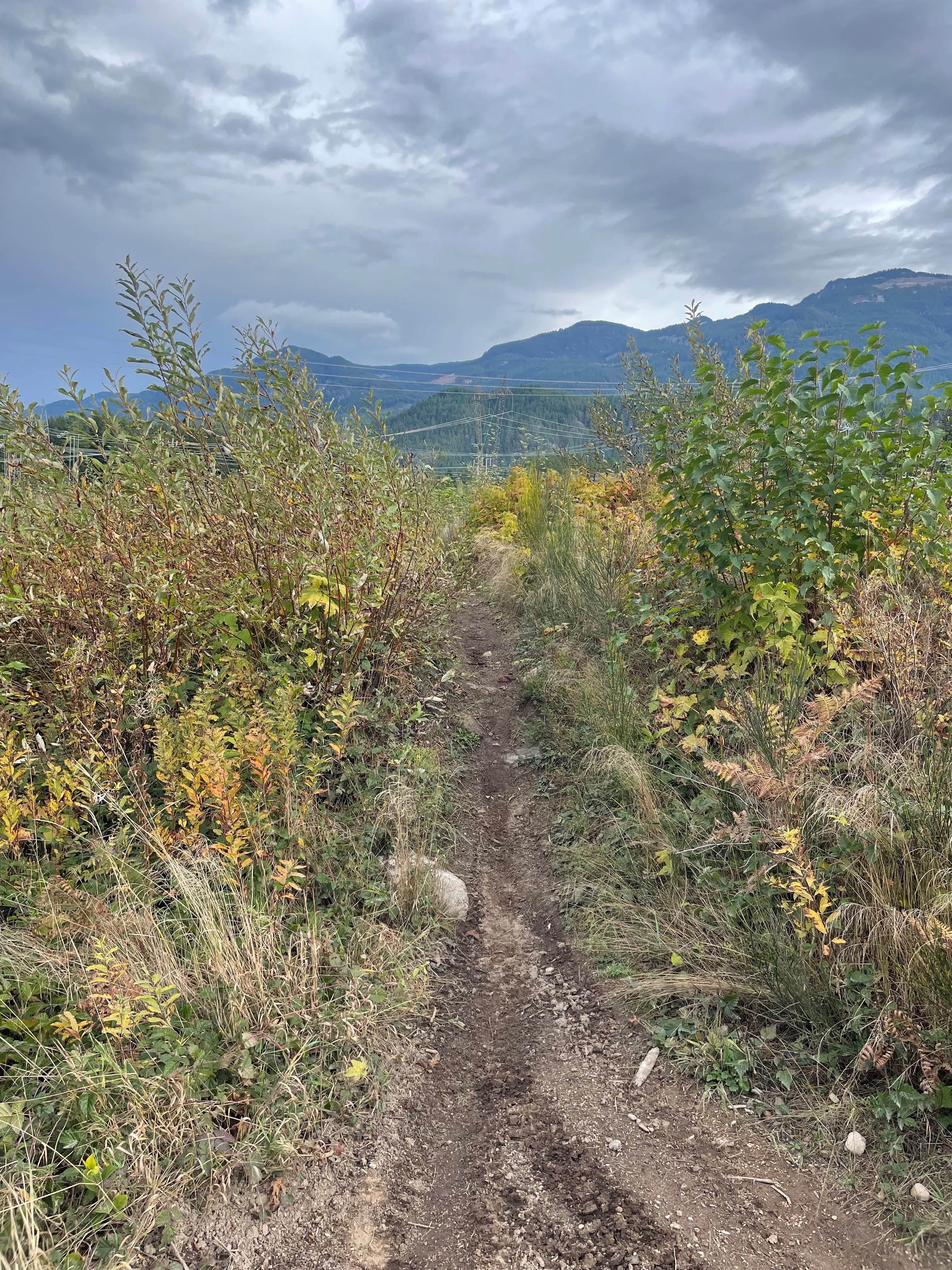 Rob's Rip Cut Out West