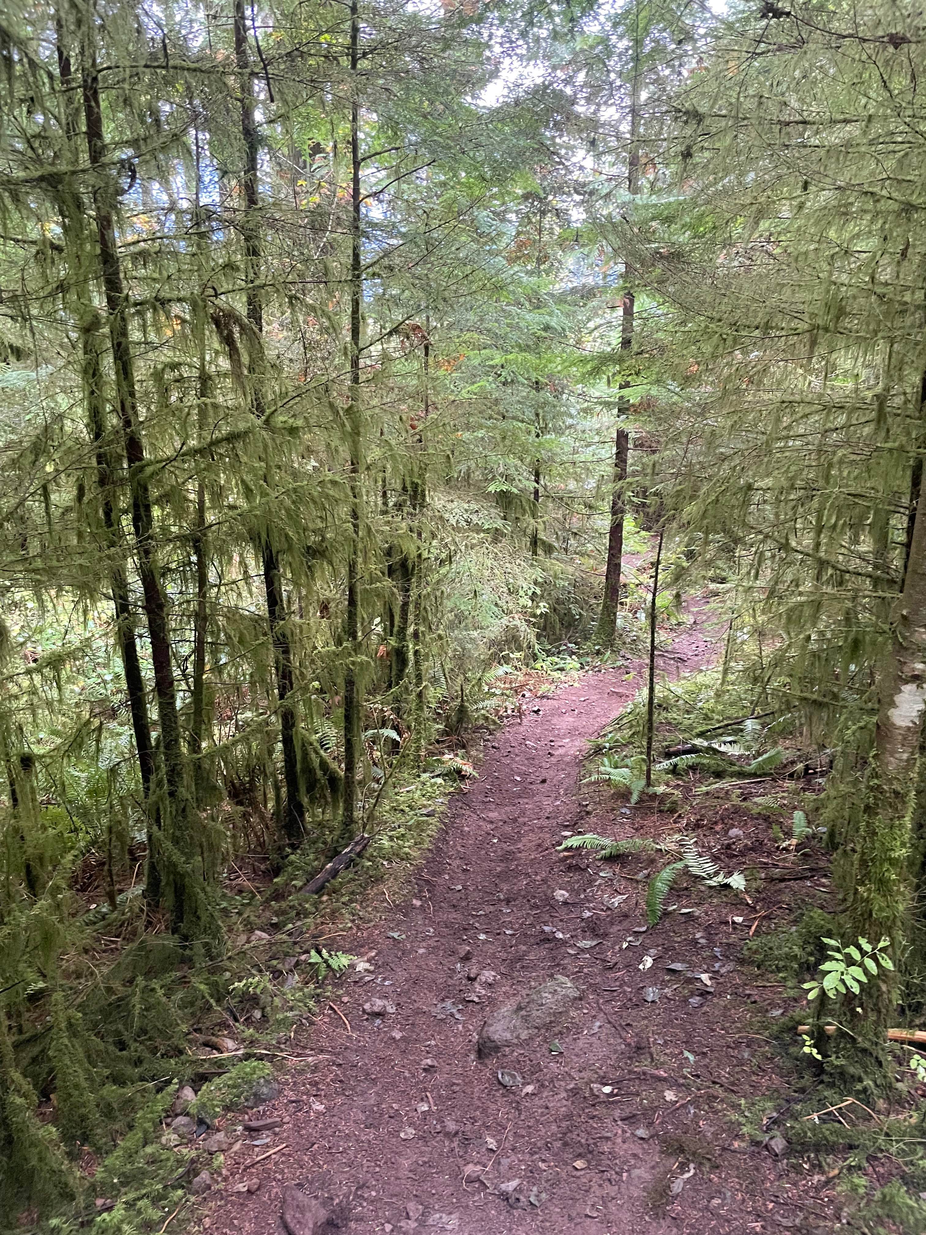 The Climbs - Holiday Hill Connector