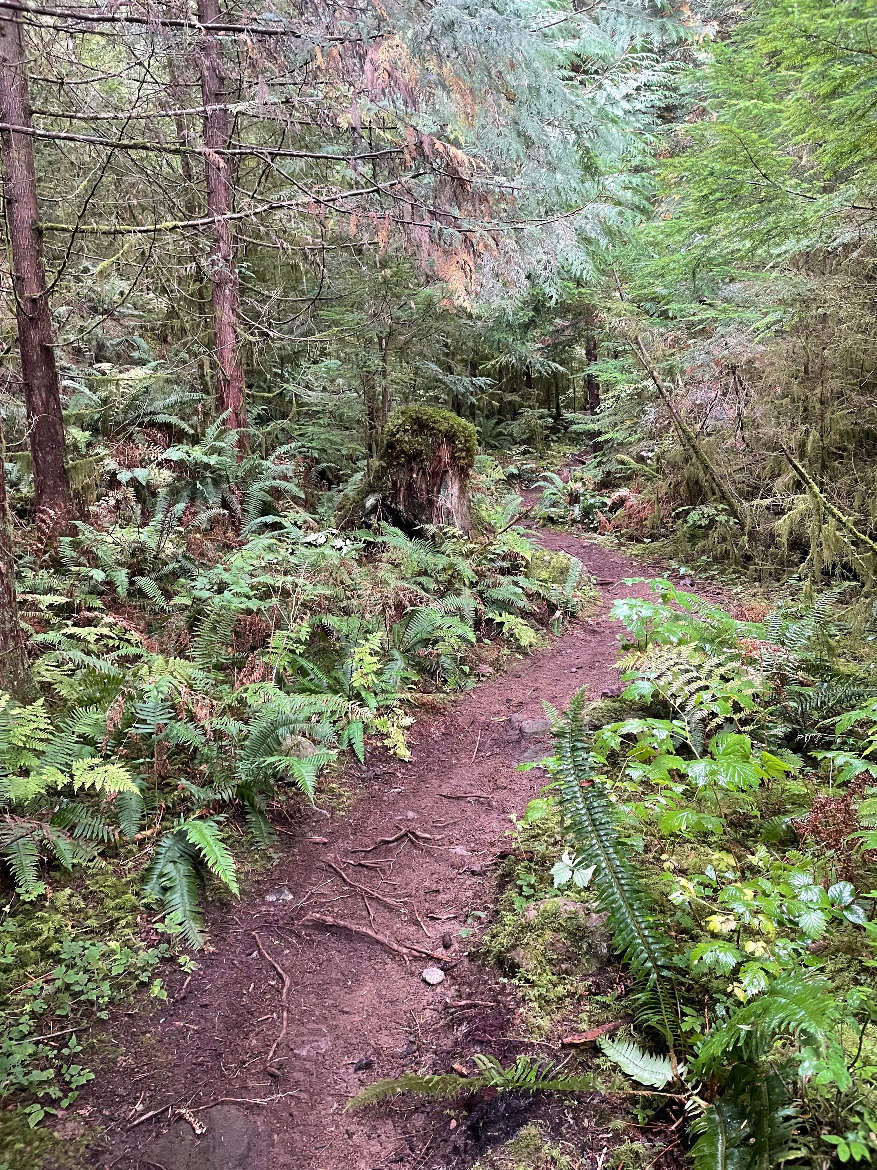 The Climbs - Holiday Hill Connector