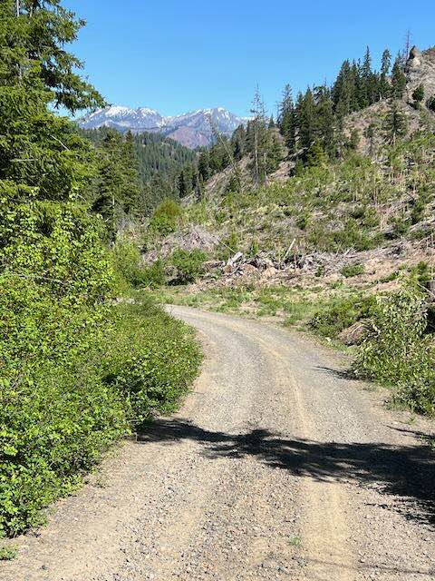 Scotty Creek Road - FS 7324