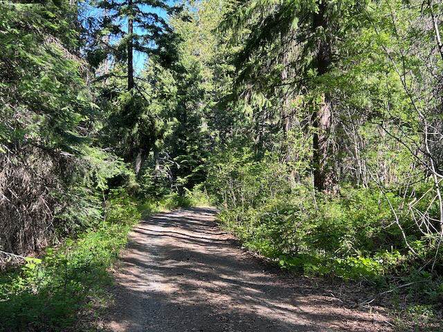 Scotty Creek Road - FS 7324