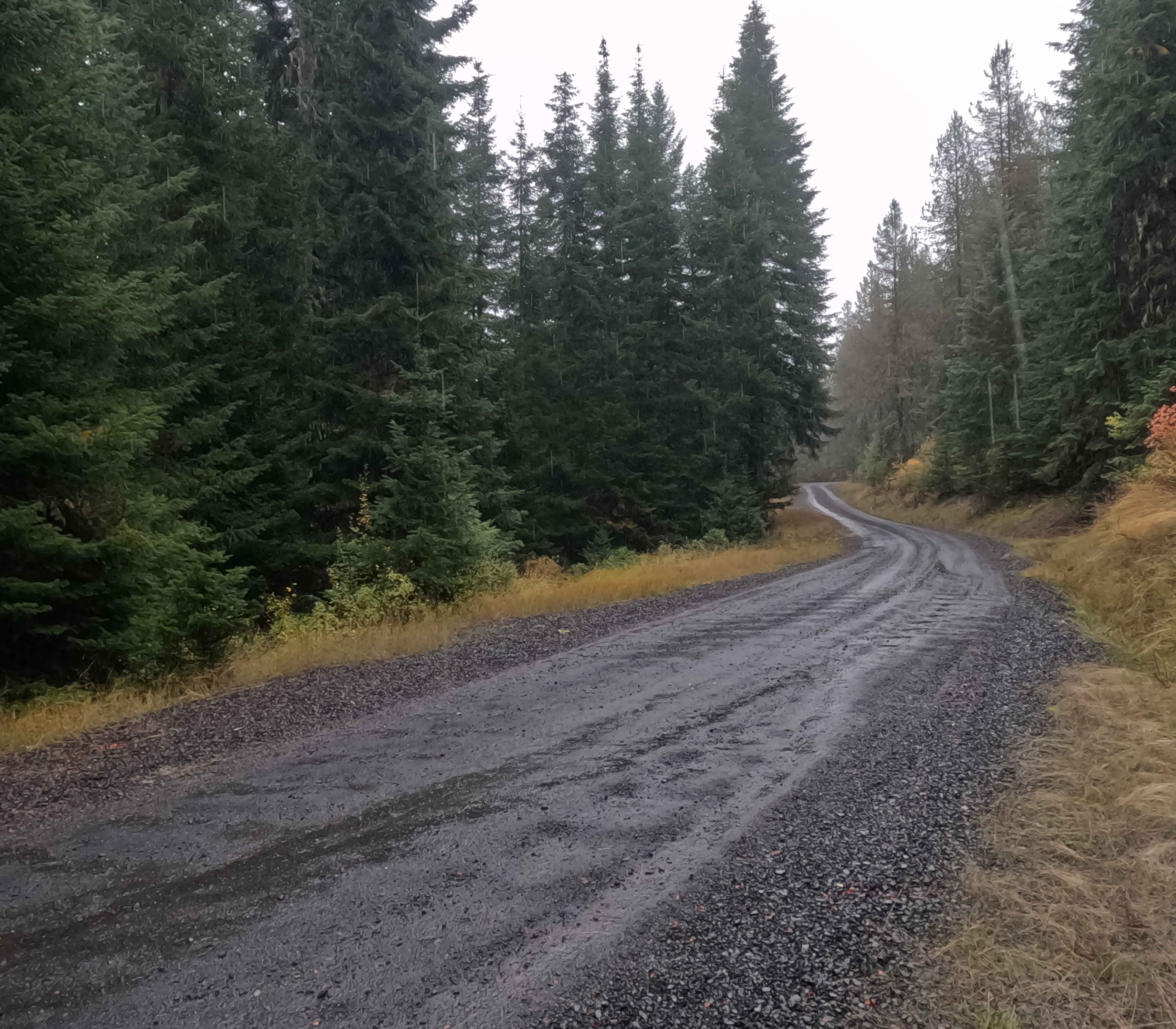 Dinner Bucket Ridge - FS 1444