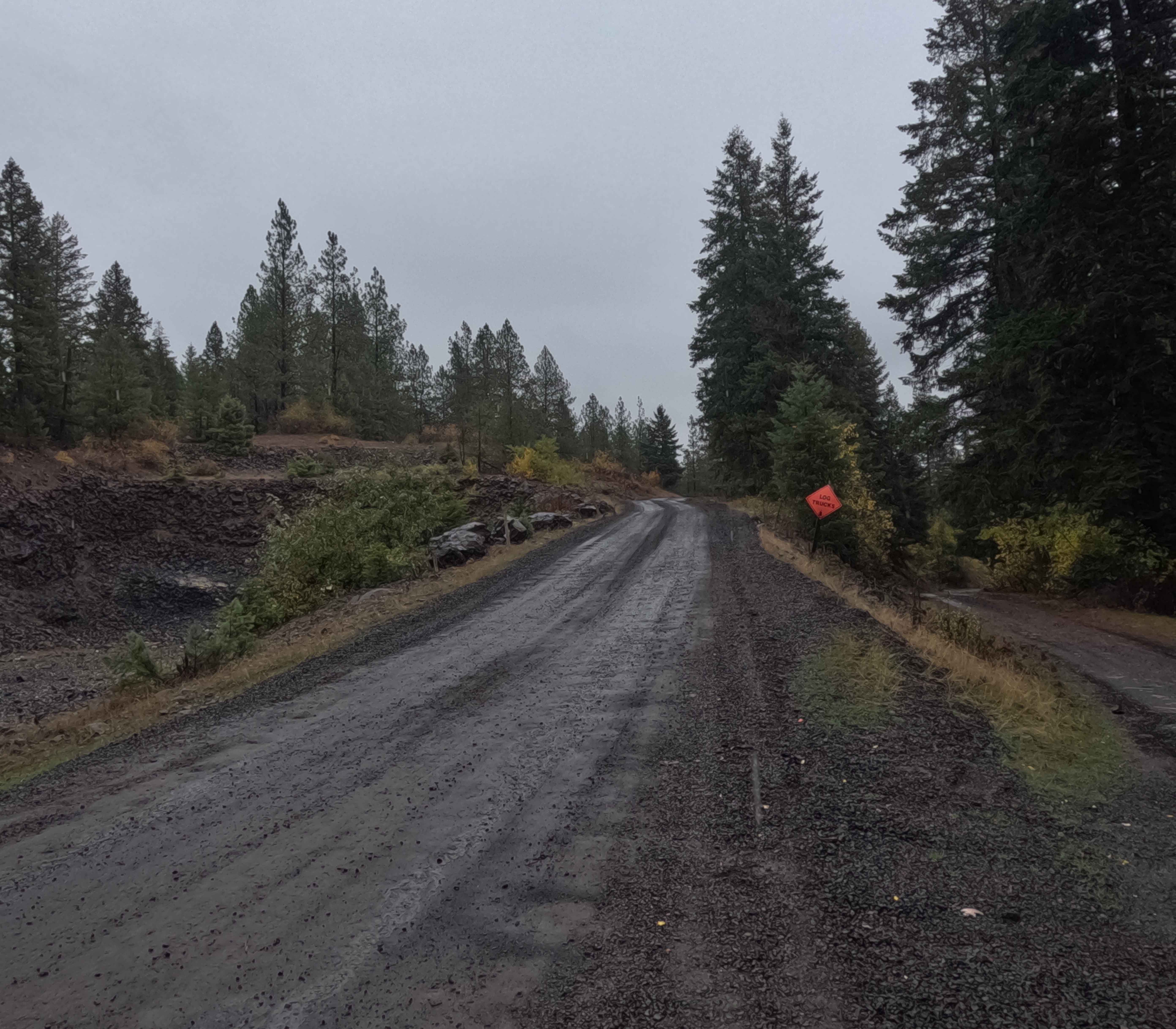 Schoolhouse Gulch - FS 4761