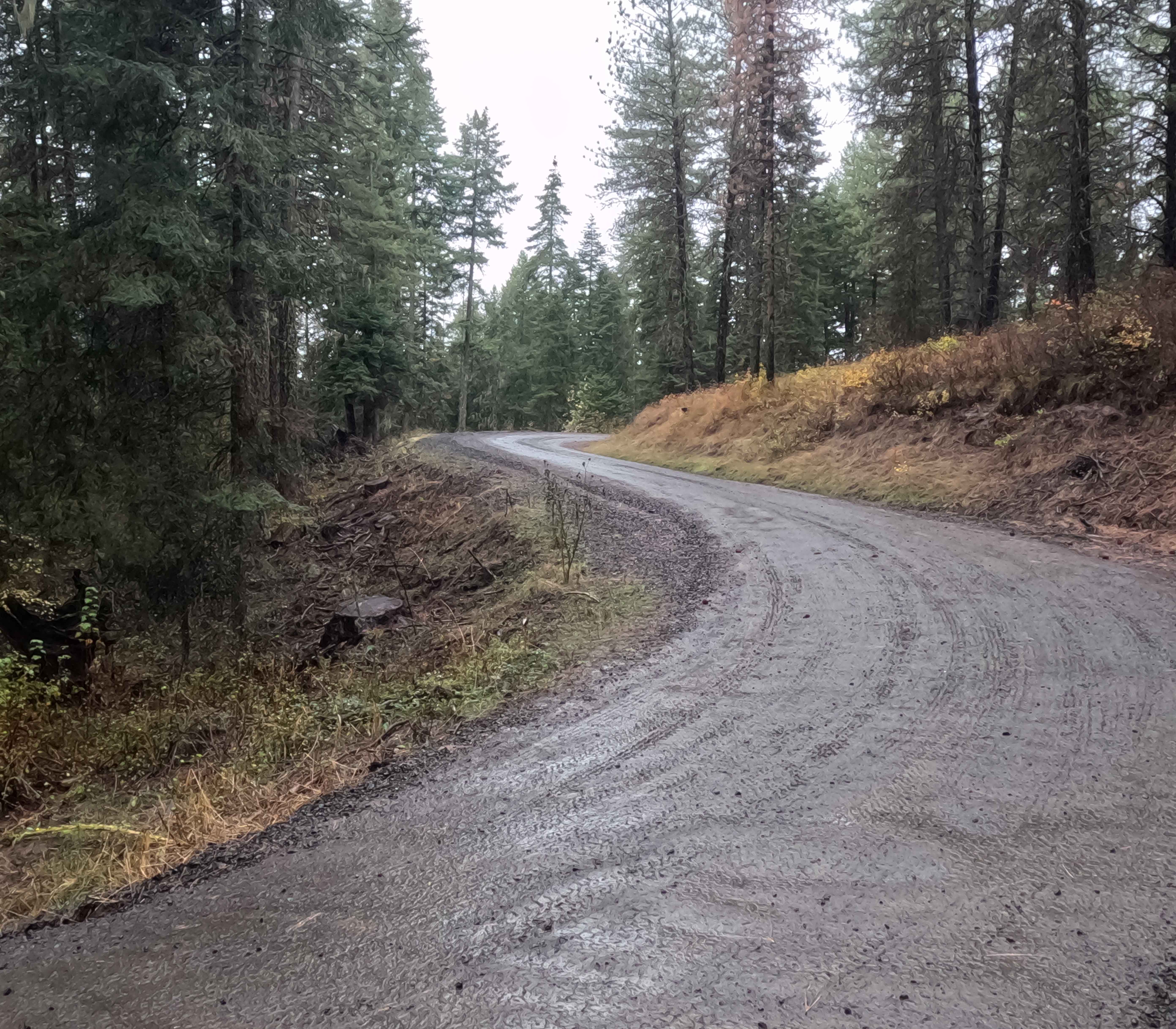 Schoolhouse Gulch - FS 4761