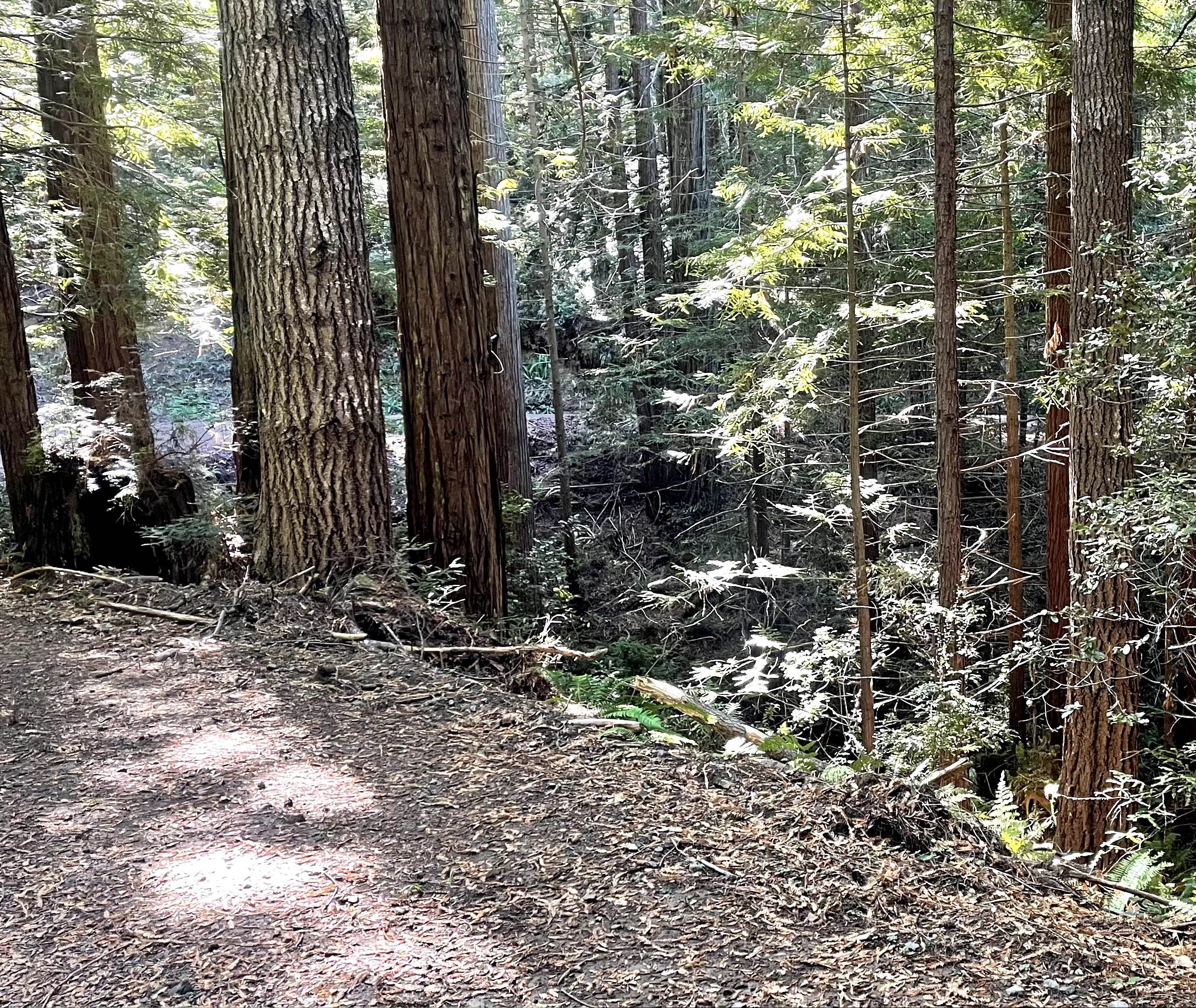 Mendocino County Road 500