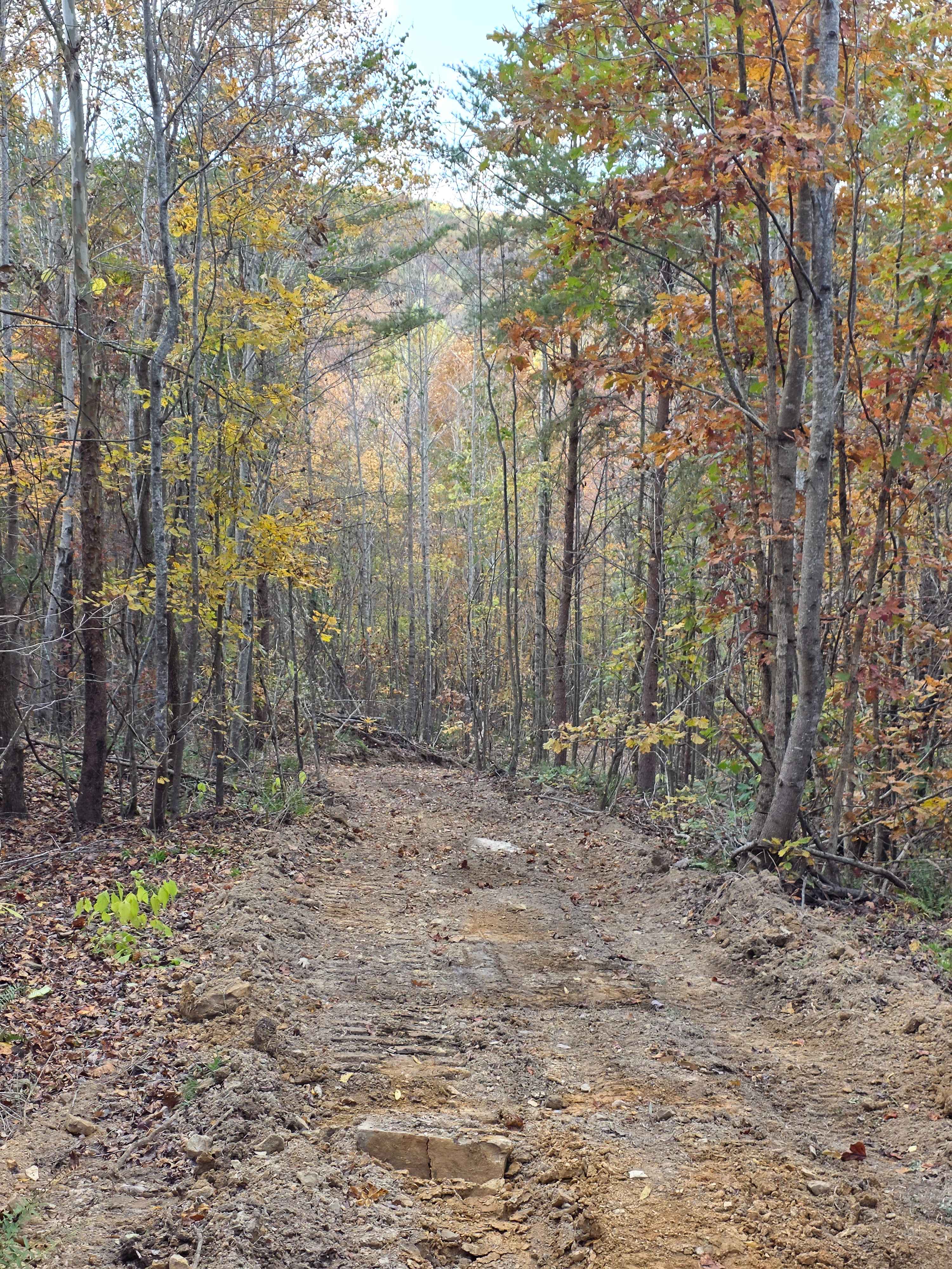 Hardwood Hollow Bypass