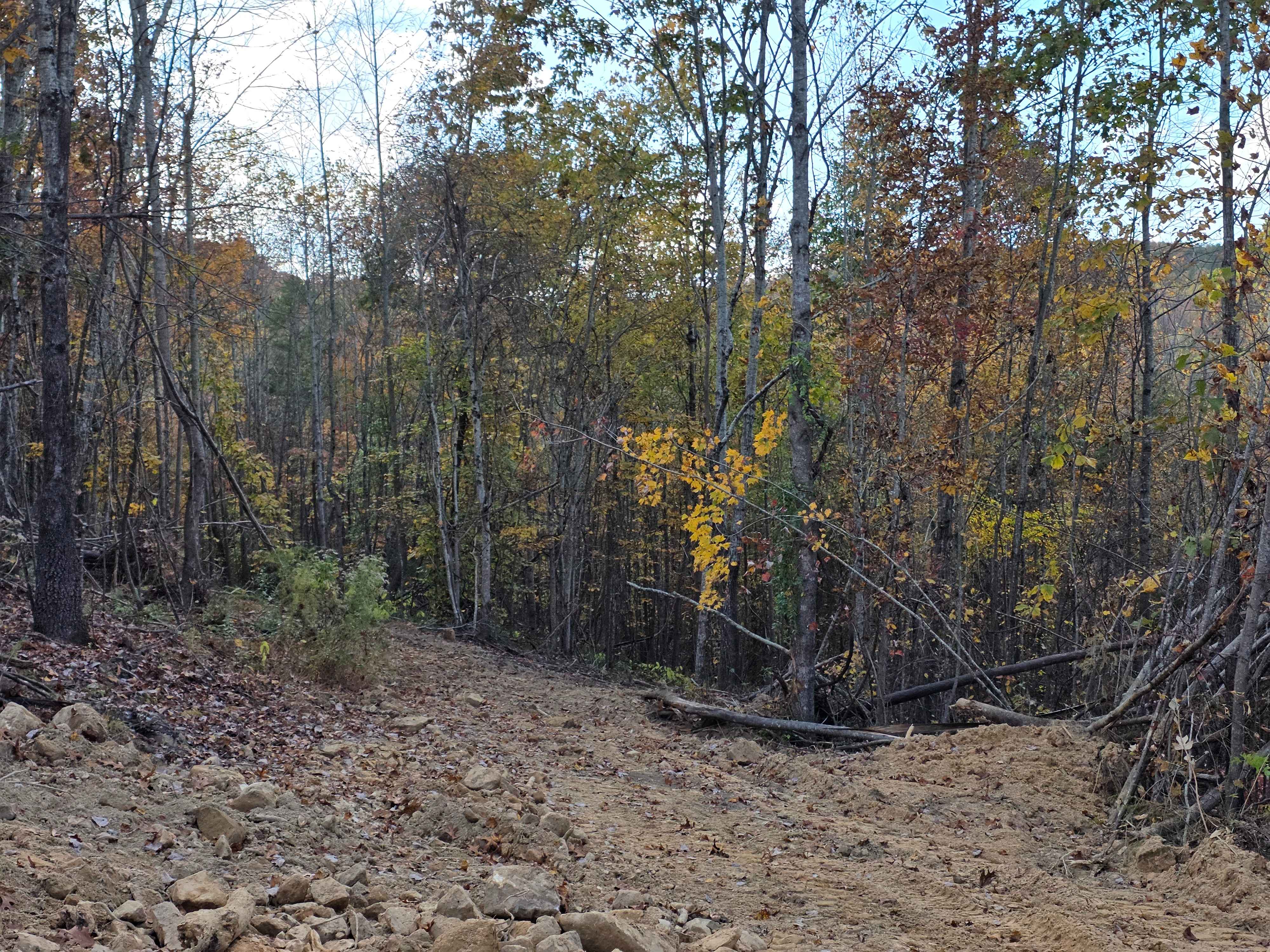 Hardwood Hollow Bypass