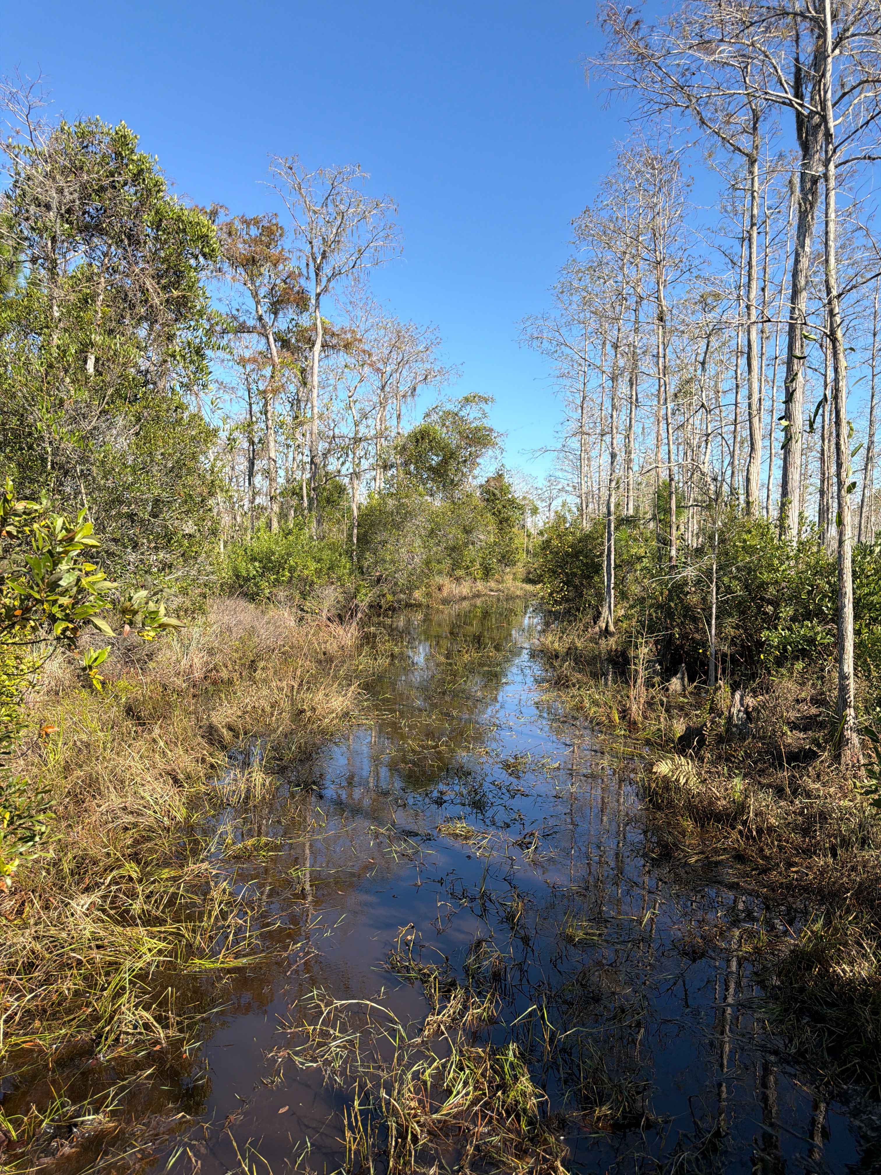 Road 12 Loop - Three Lakes WMA