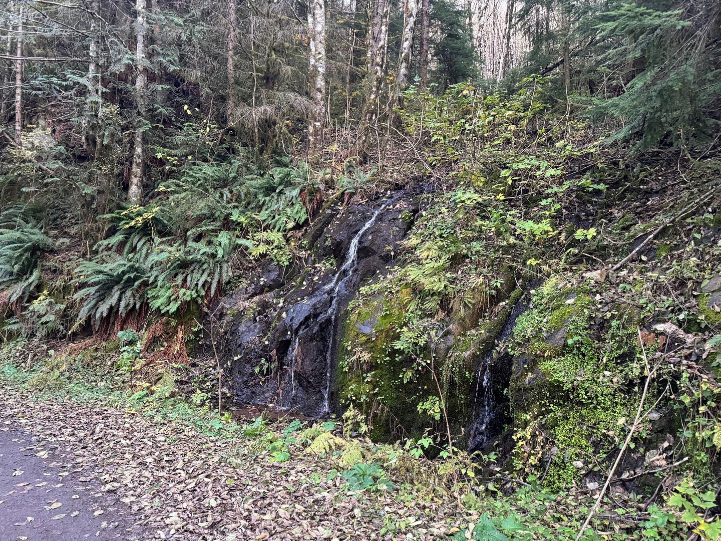 Powder Horn Spur Road