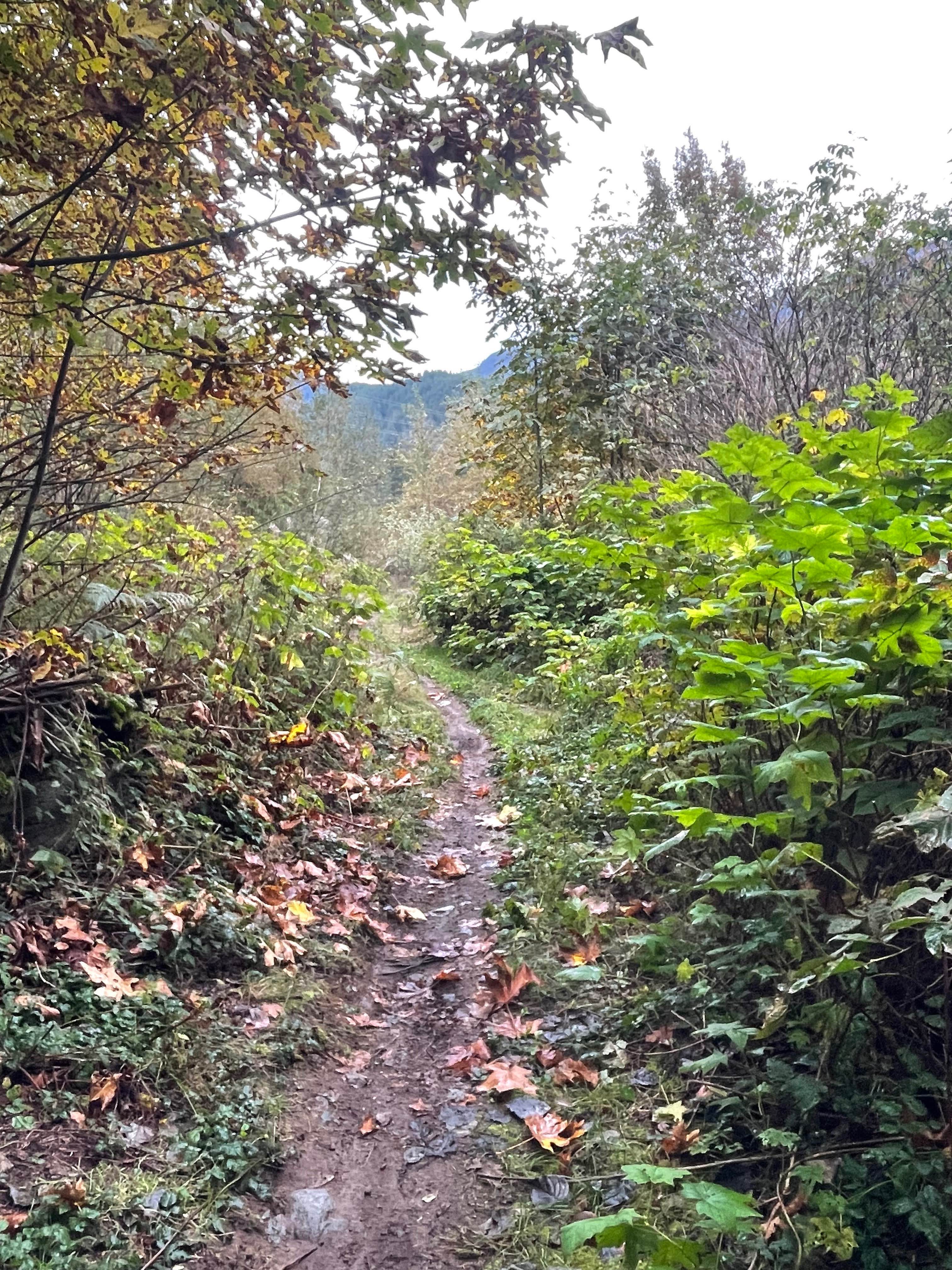 Trials Zone Connector