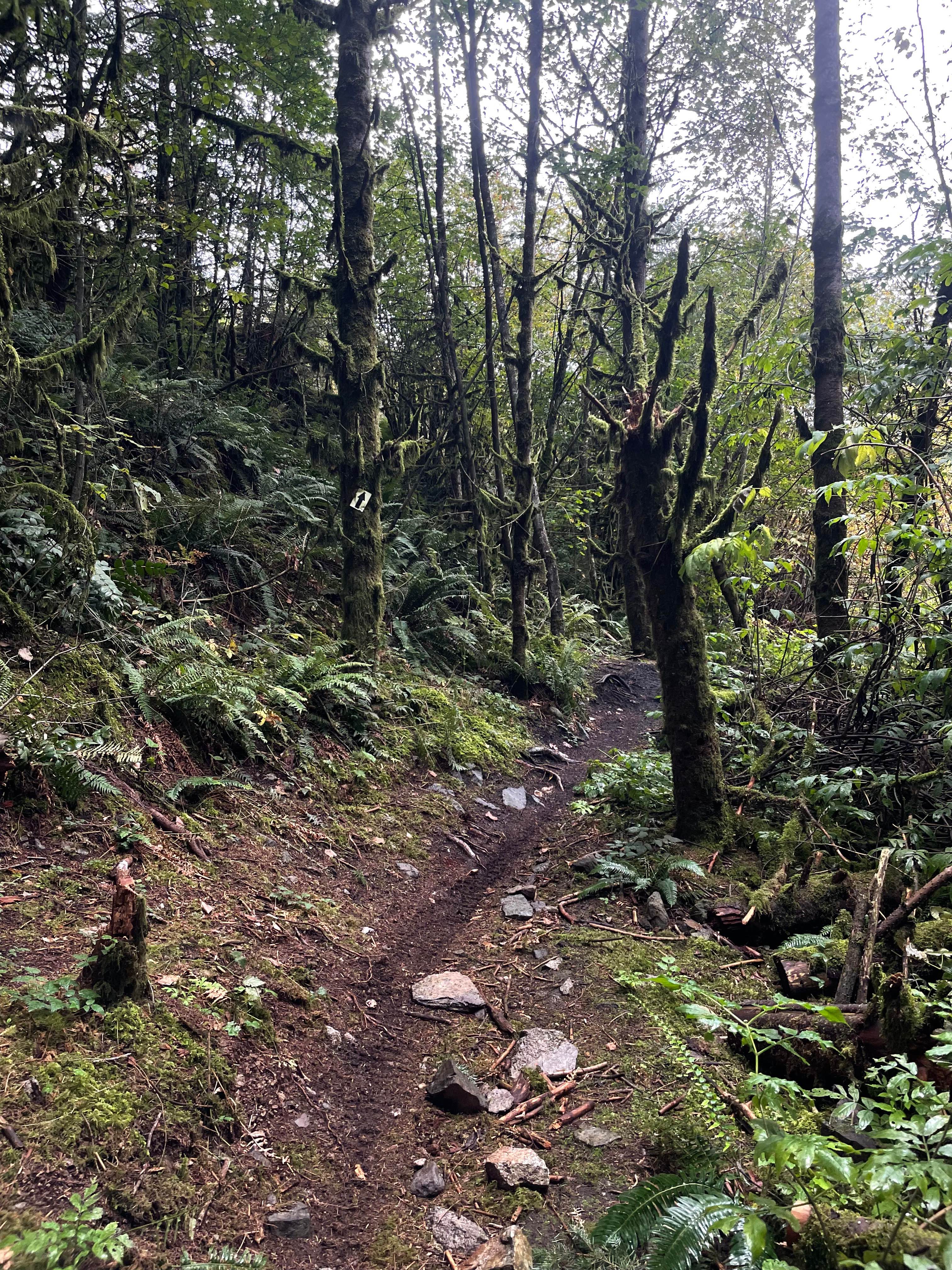 Trials Zone Connector