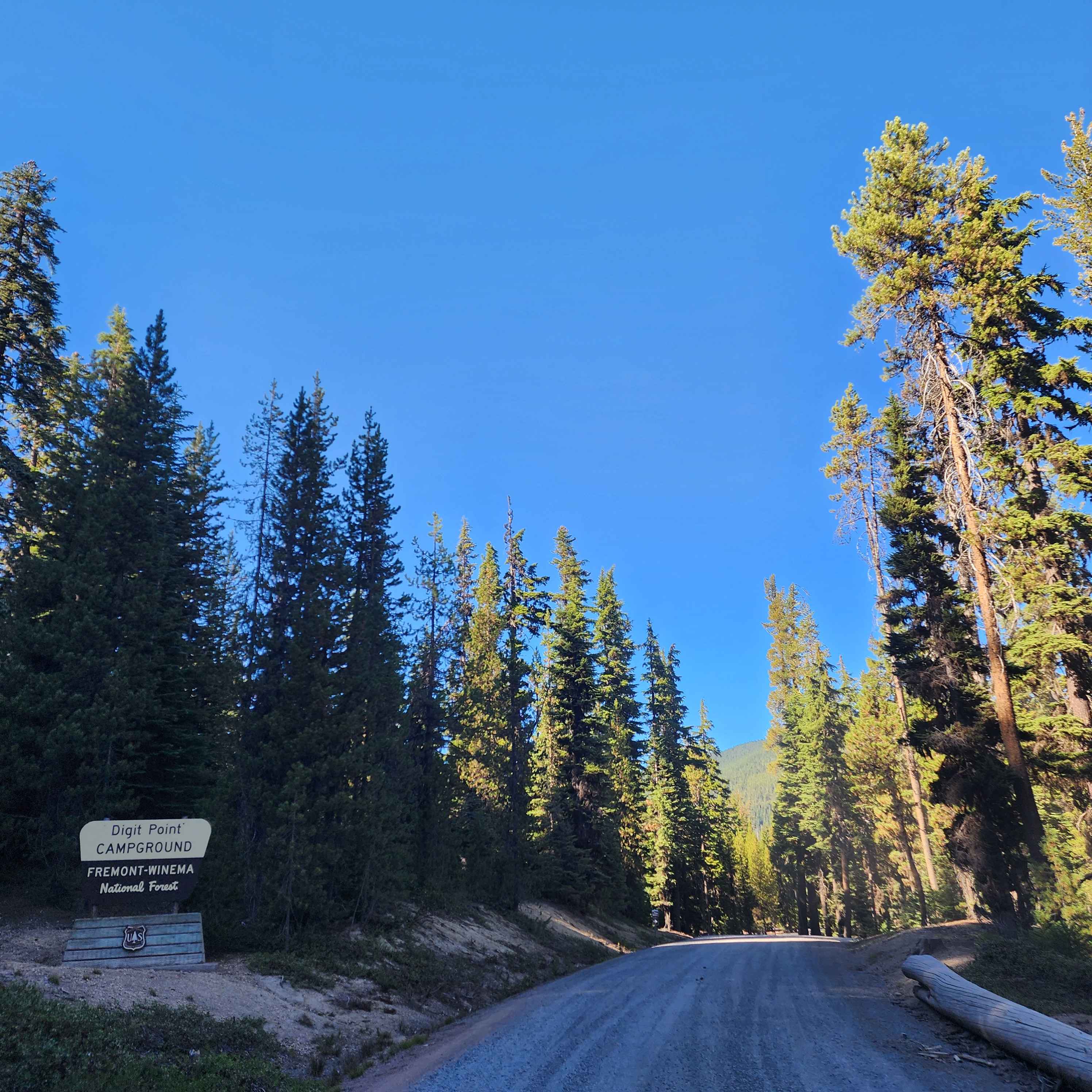 Miller Lake and Digit Campground - FS 9772