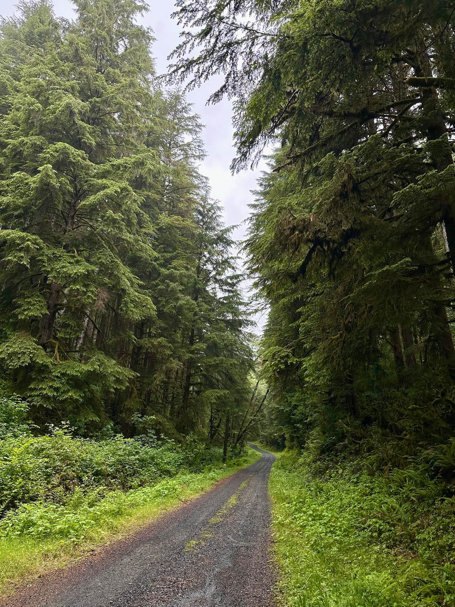 Cape Creek - FS 1057