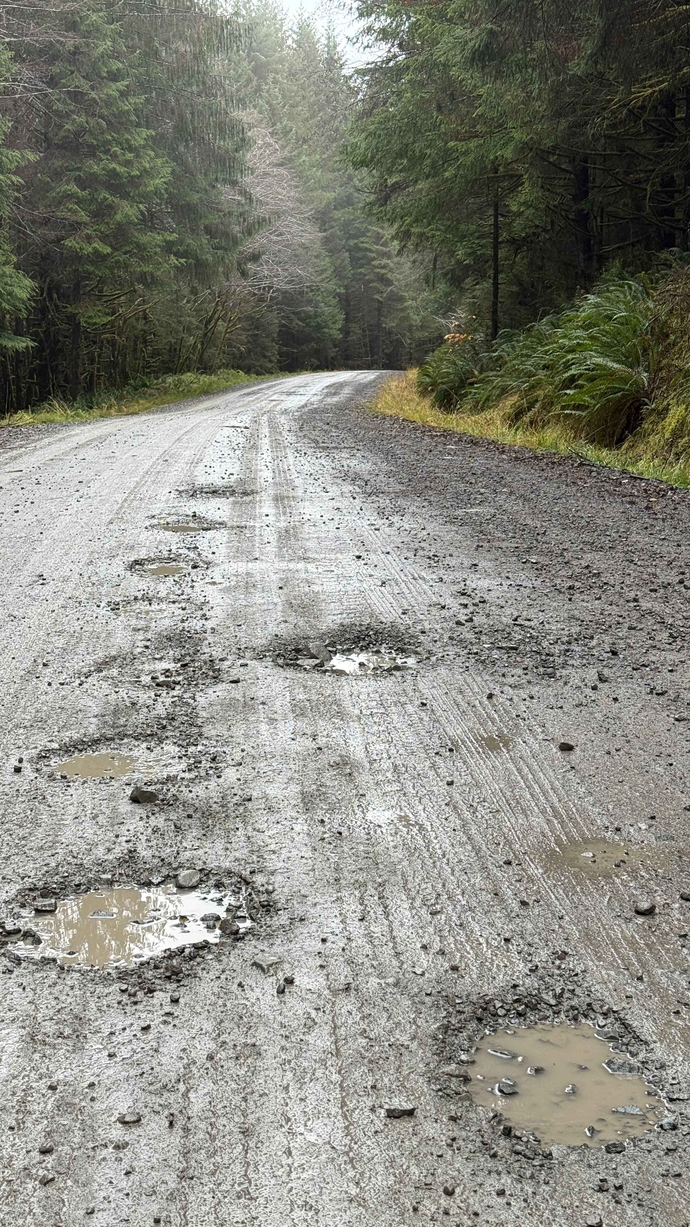 Queen Charlotte Mainline