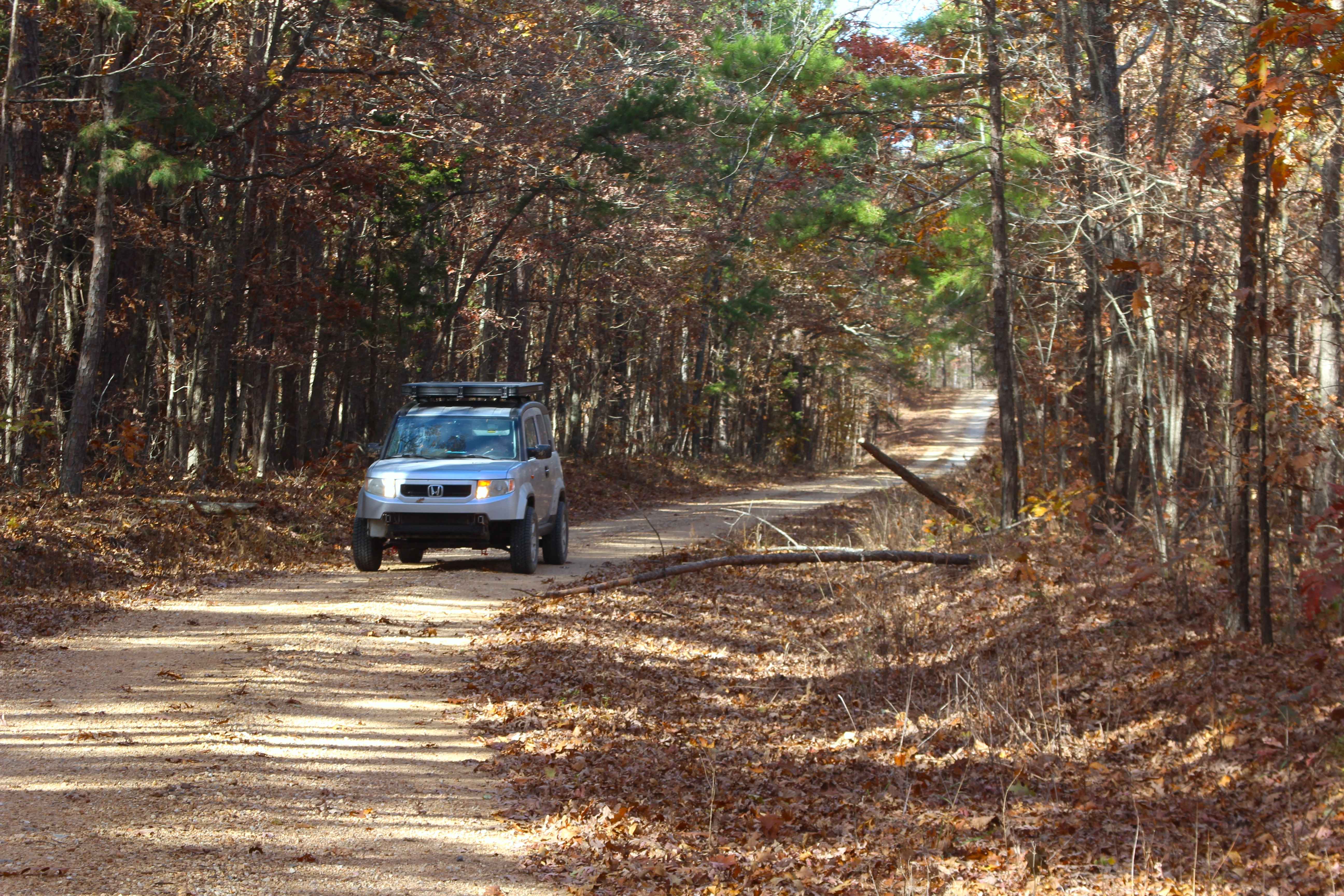 Cub Creek - ICR 15/FS 2391