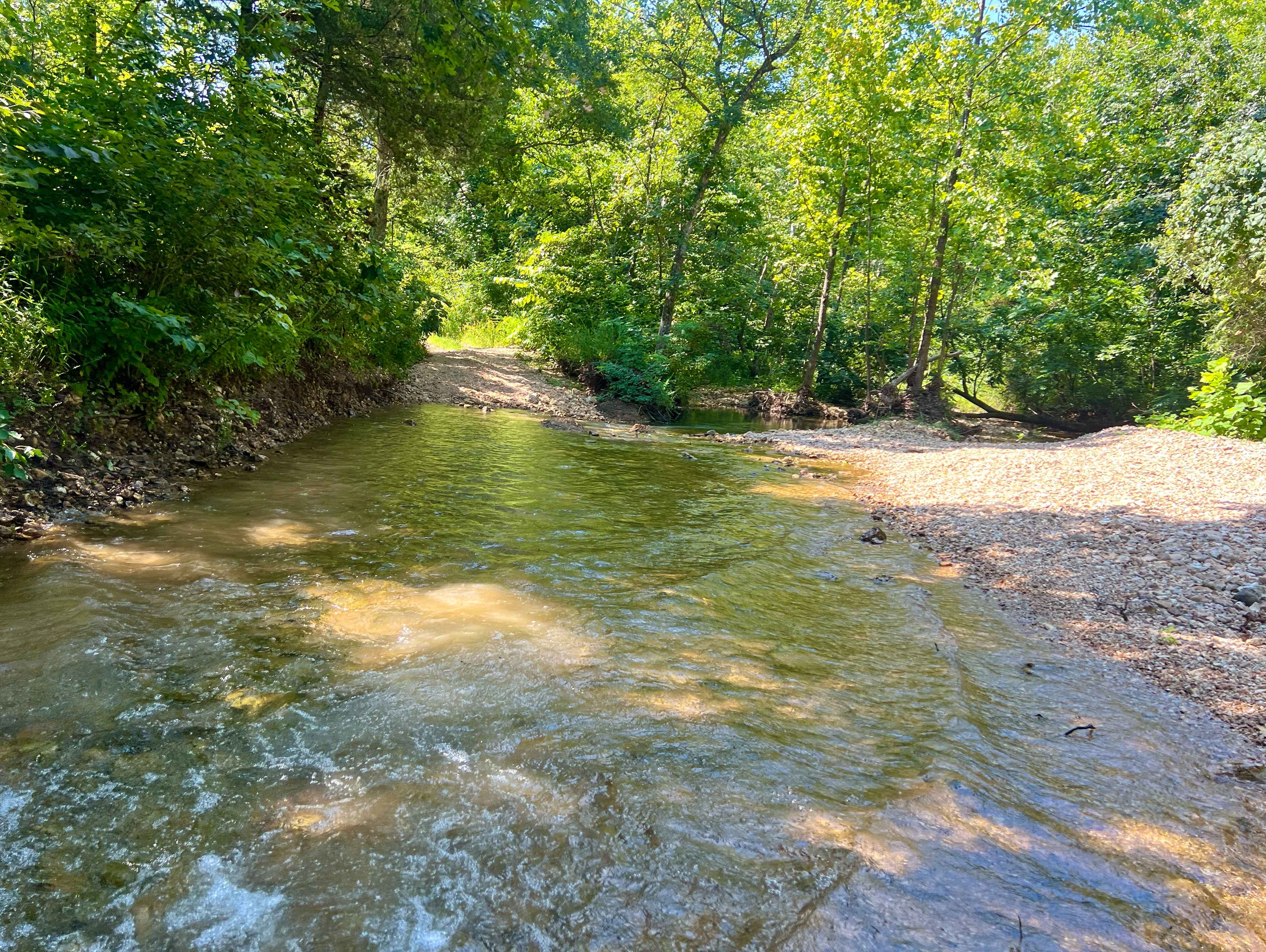 Horse Hollow - SCR 319A