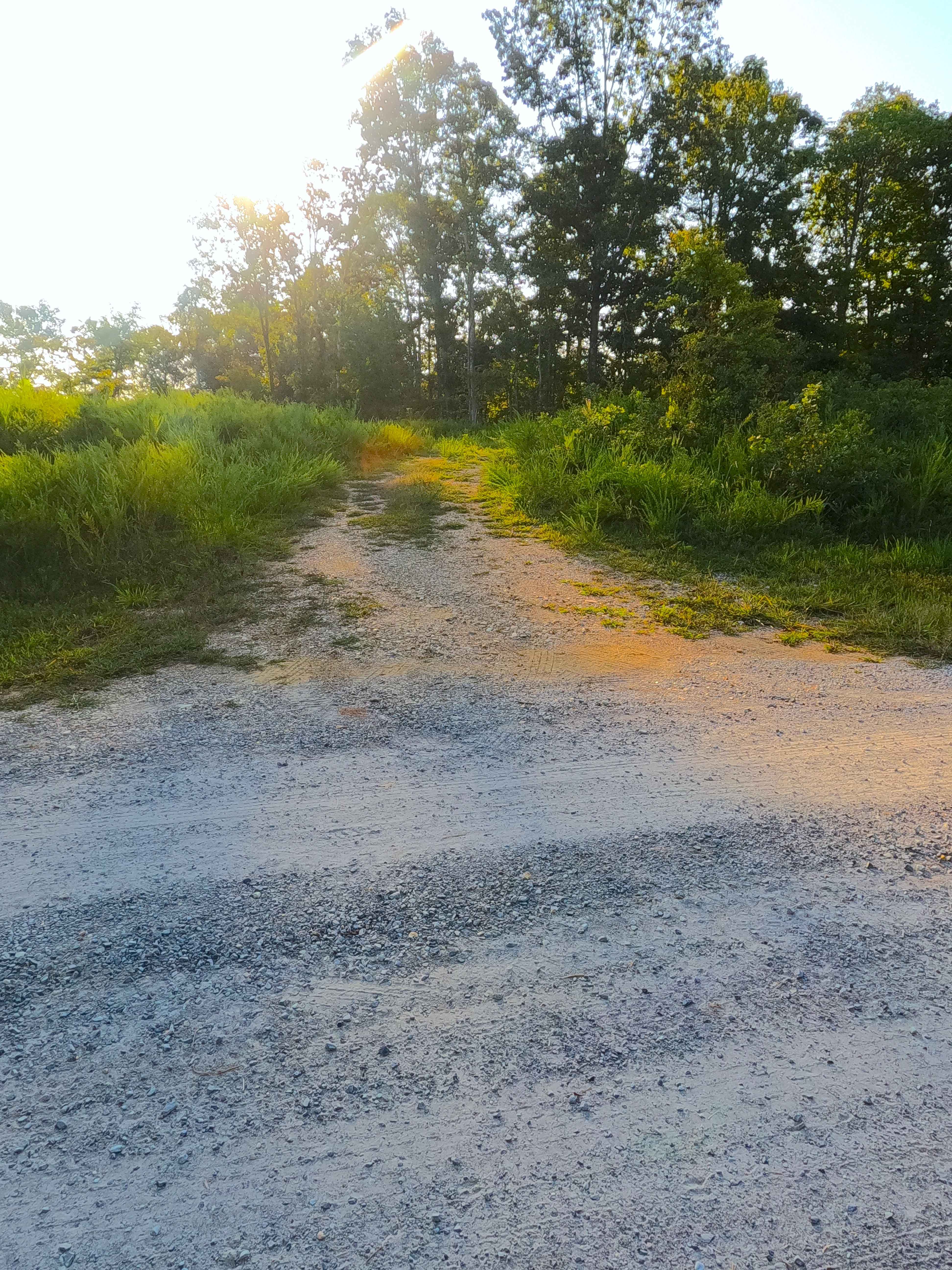 Willow Creek - FS 109