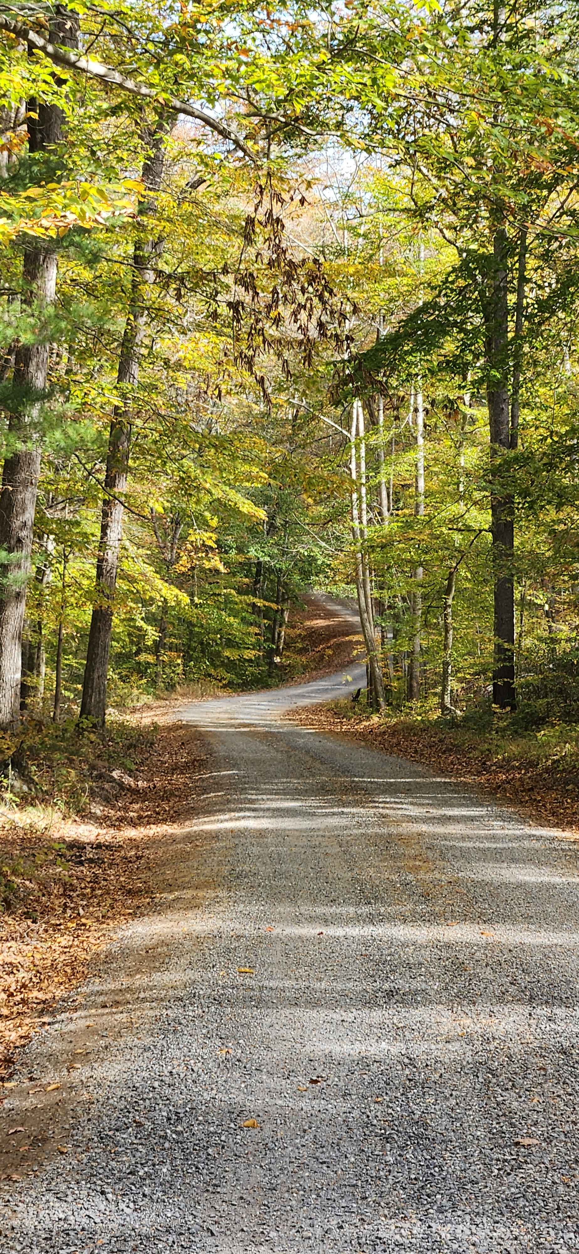 Little Irish Road - FS 311