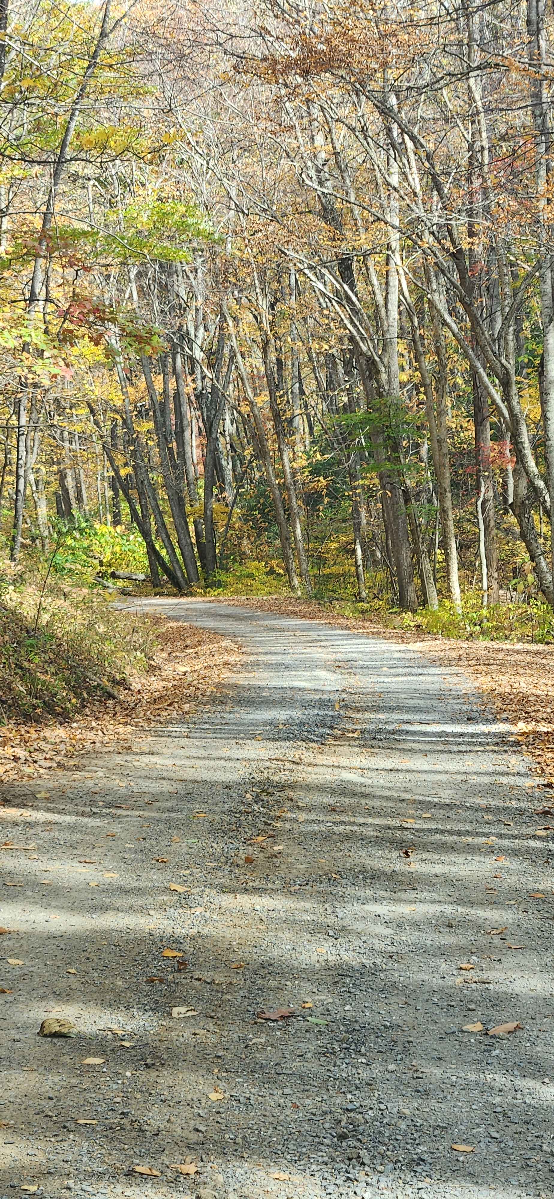 Little Irish Road - FS 311