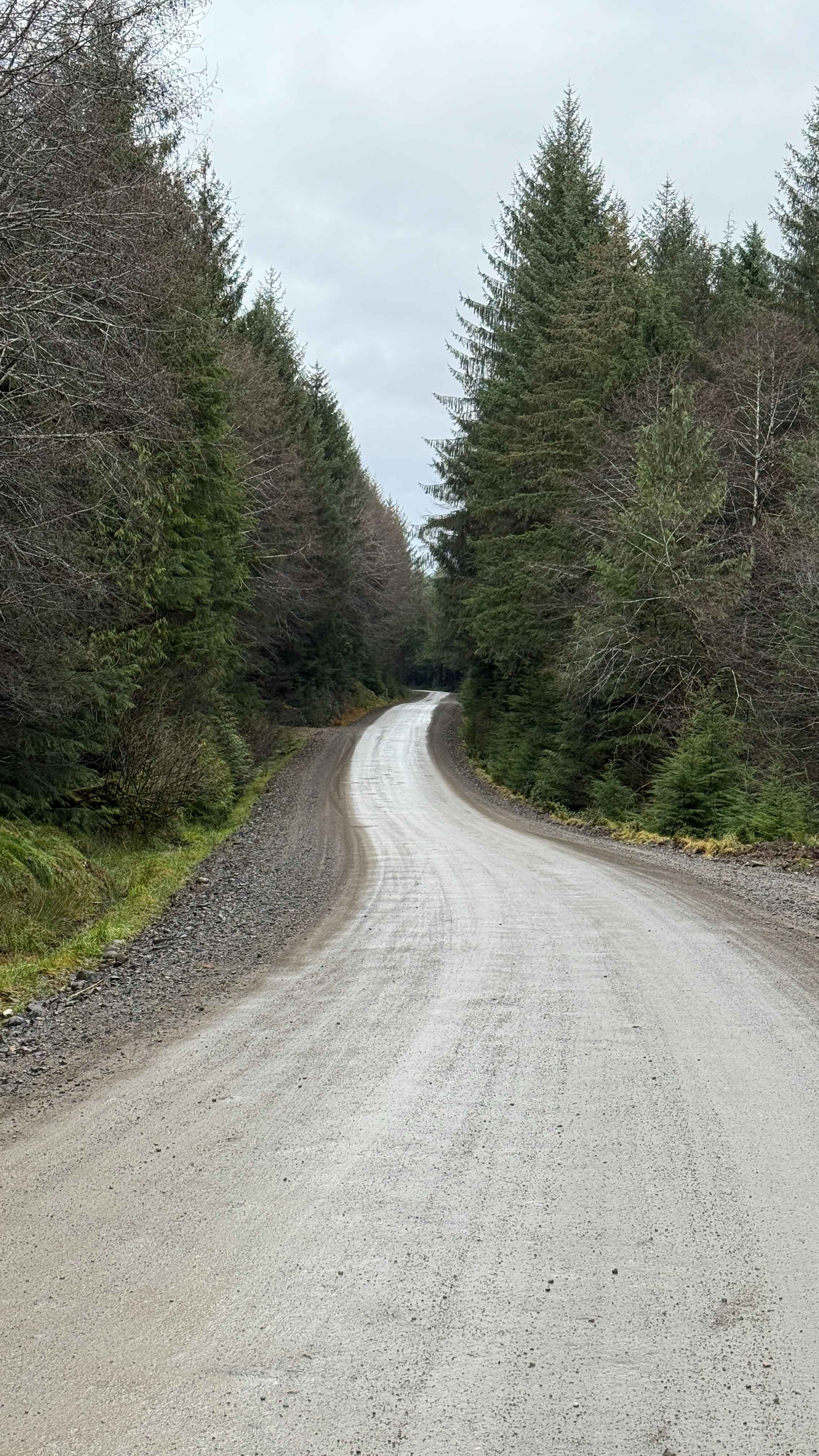 Port Main Forest Service Road