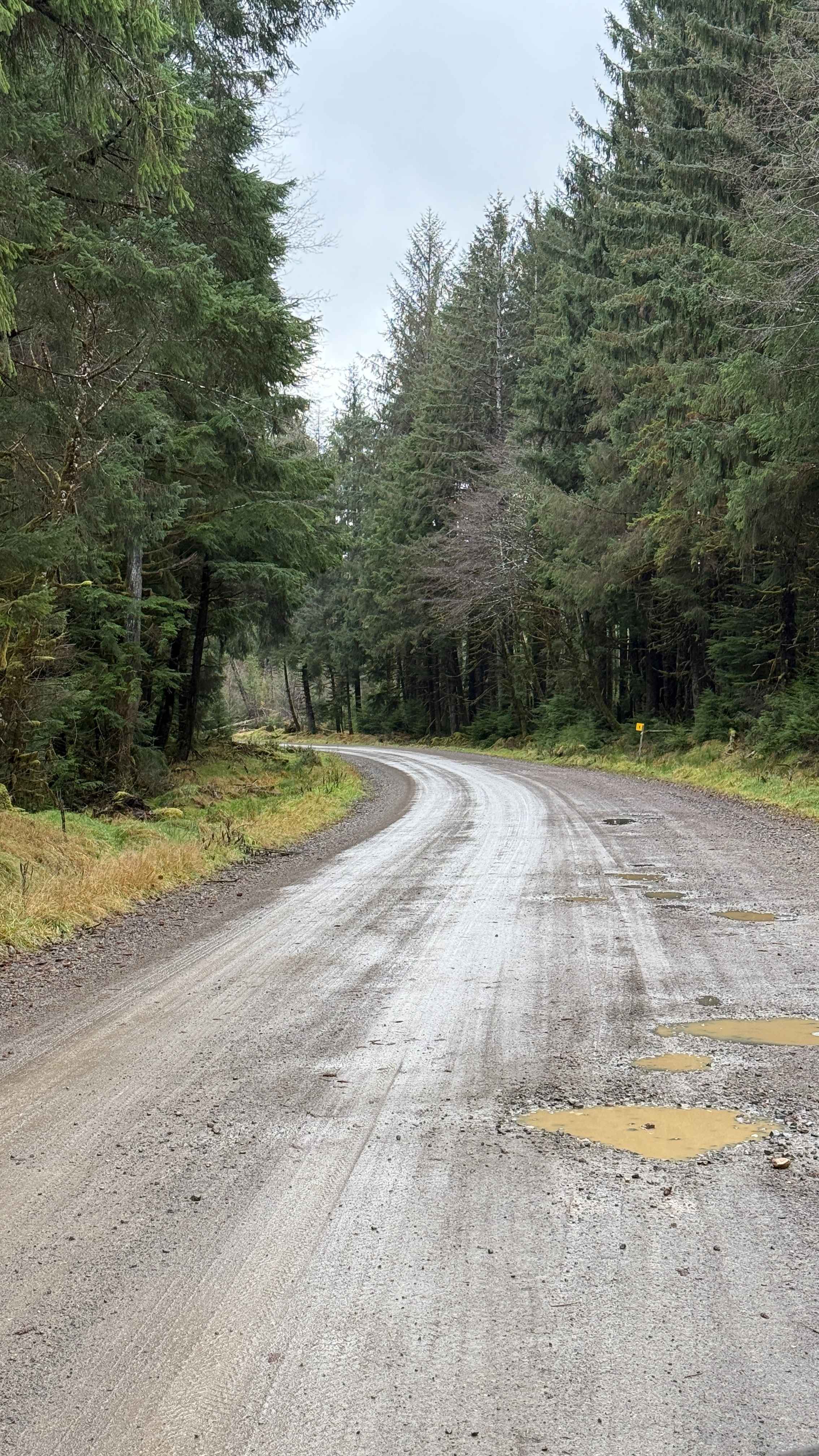 Port Main Forest Service Road