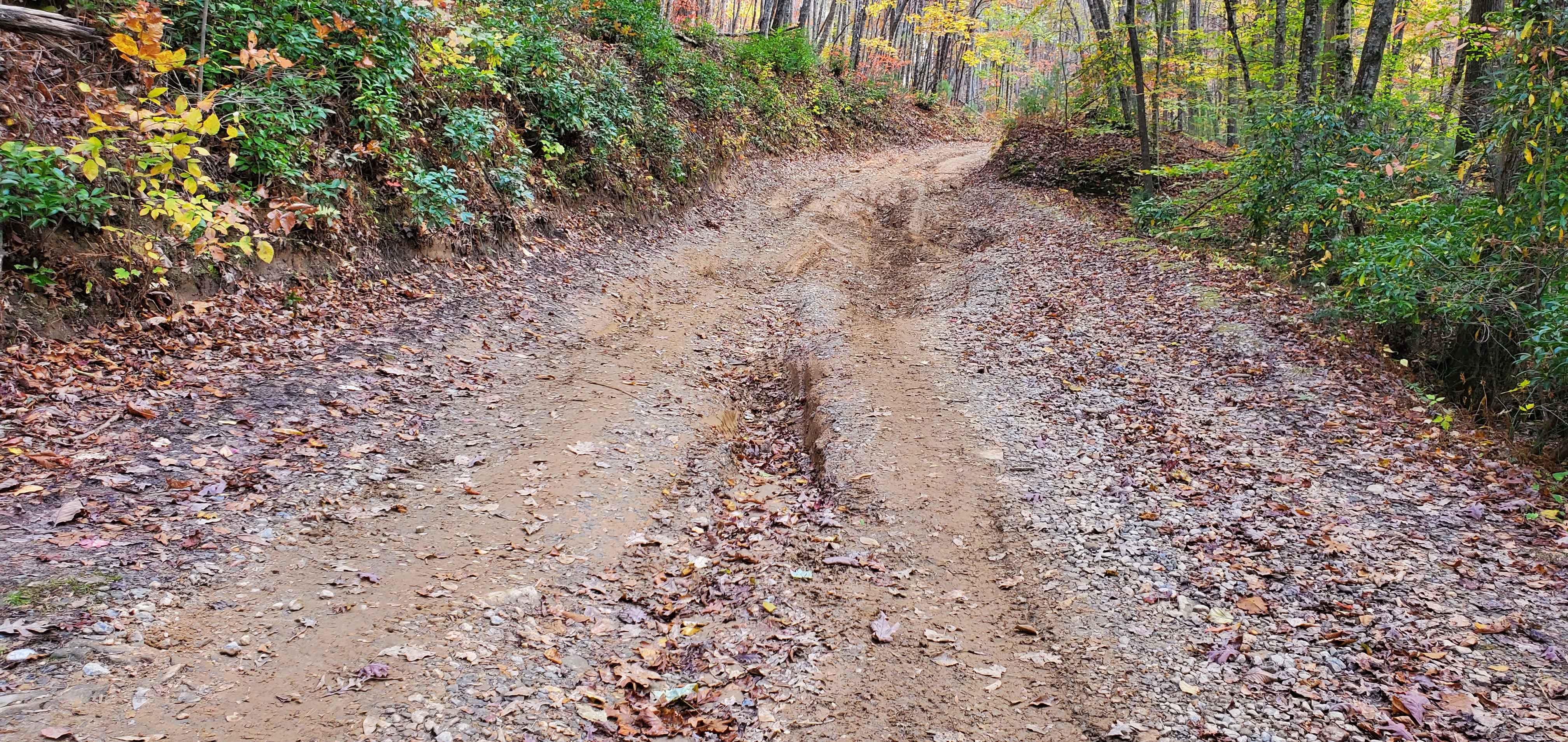 West Skeenah - FS 640