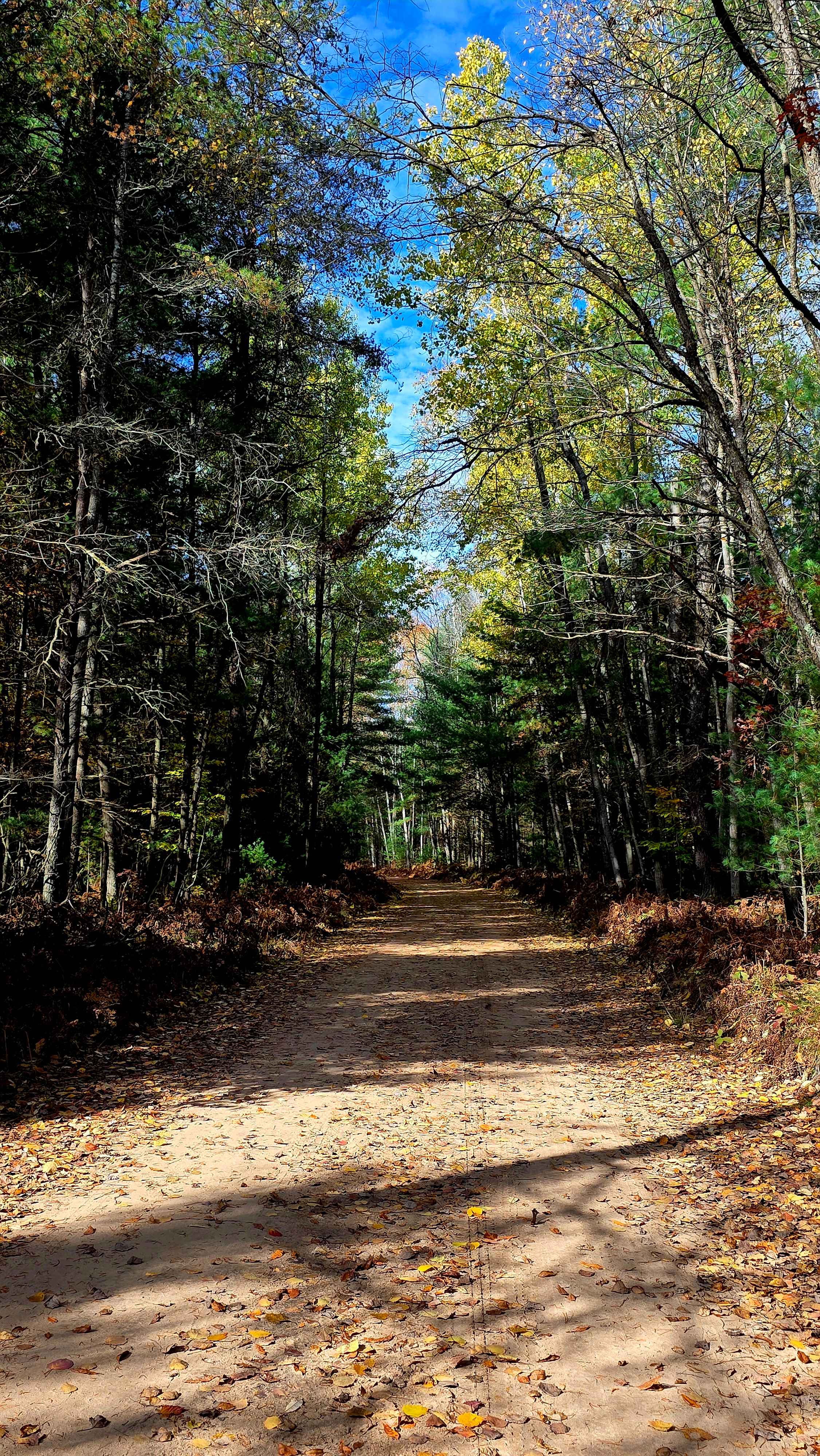 Lanager Run Connector