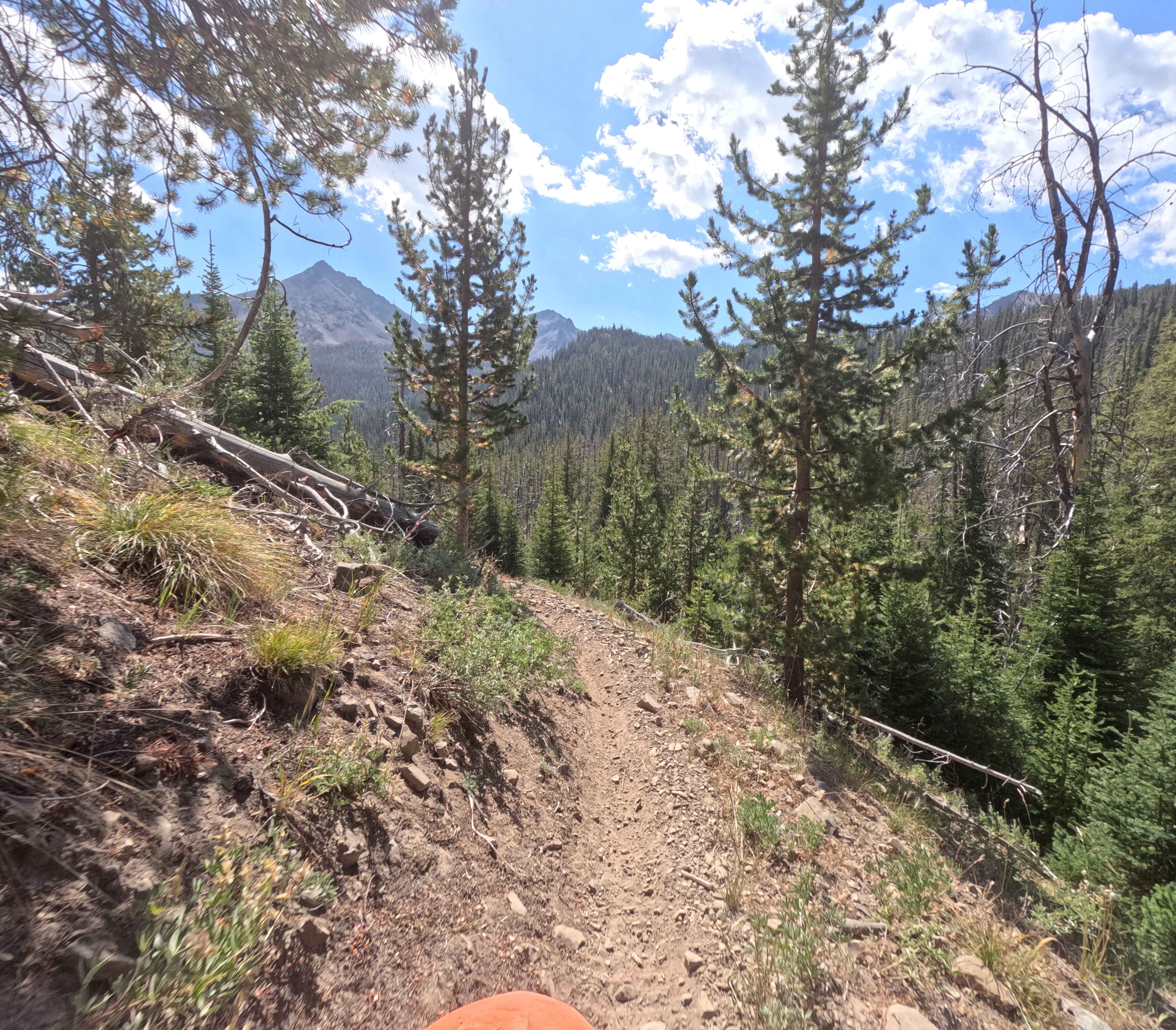 Grand Prize - FS 7112