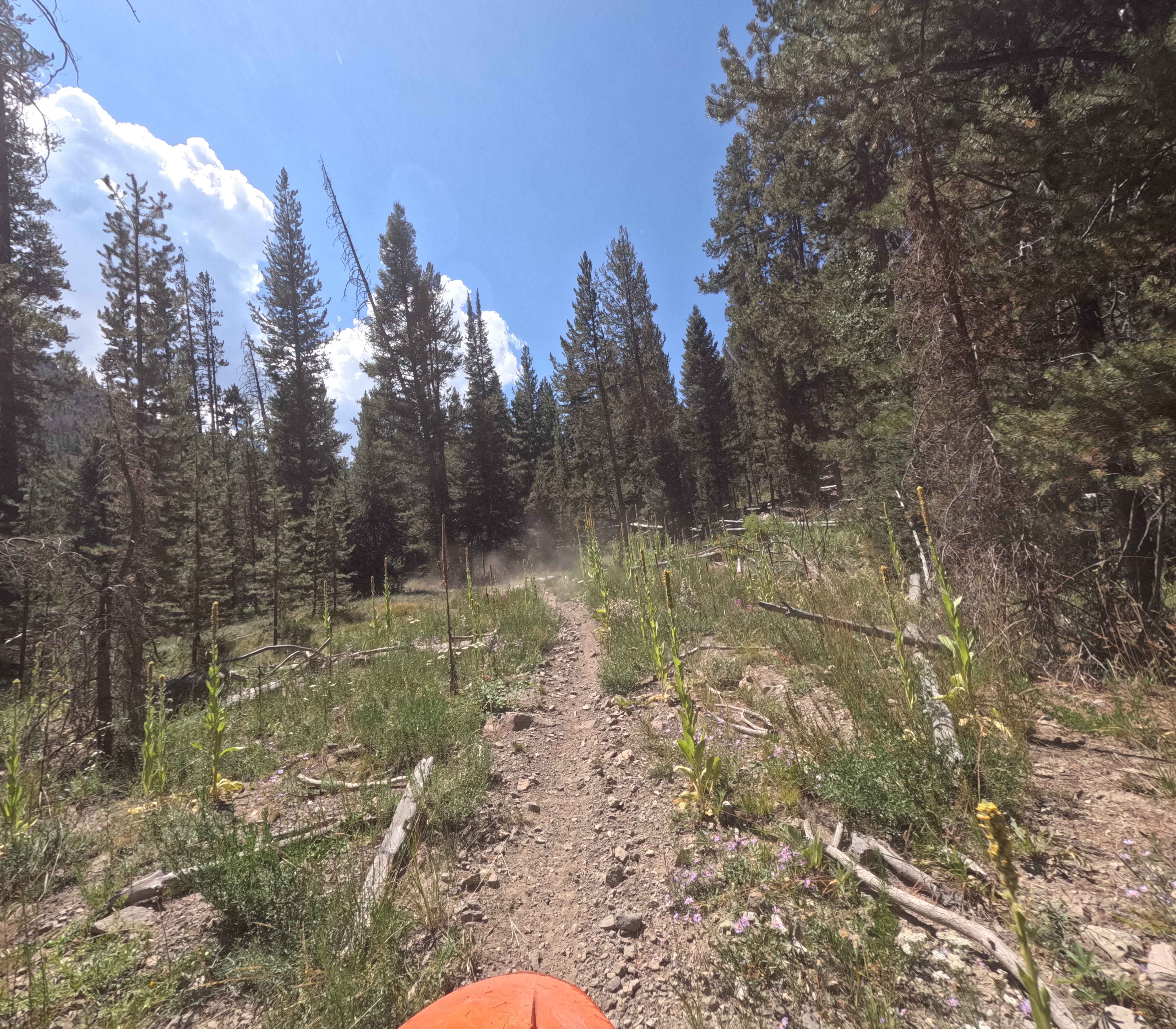 Germania Creek - FS 7111