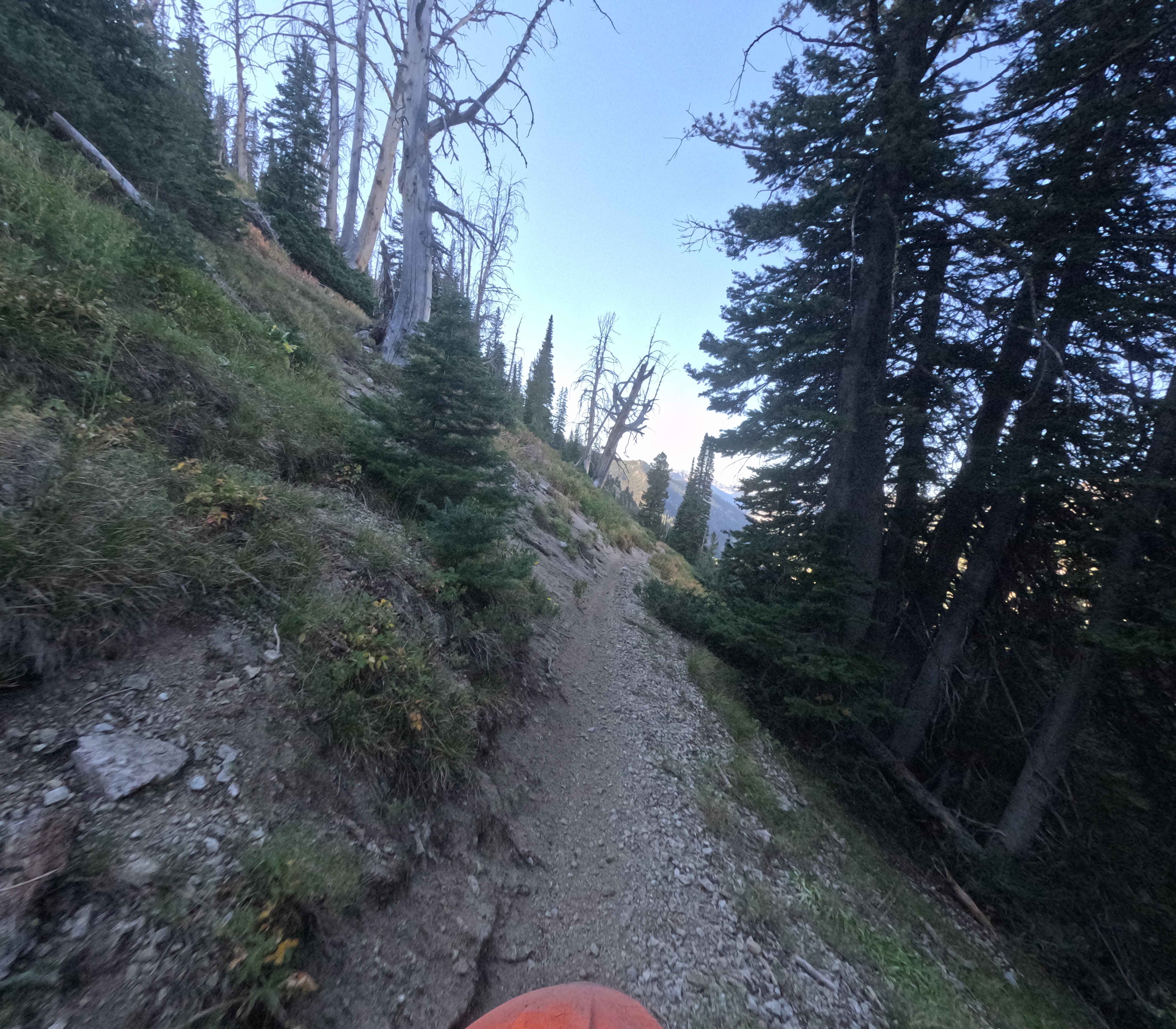 North Fork Ross Fork - FS 7226