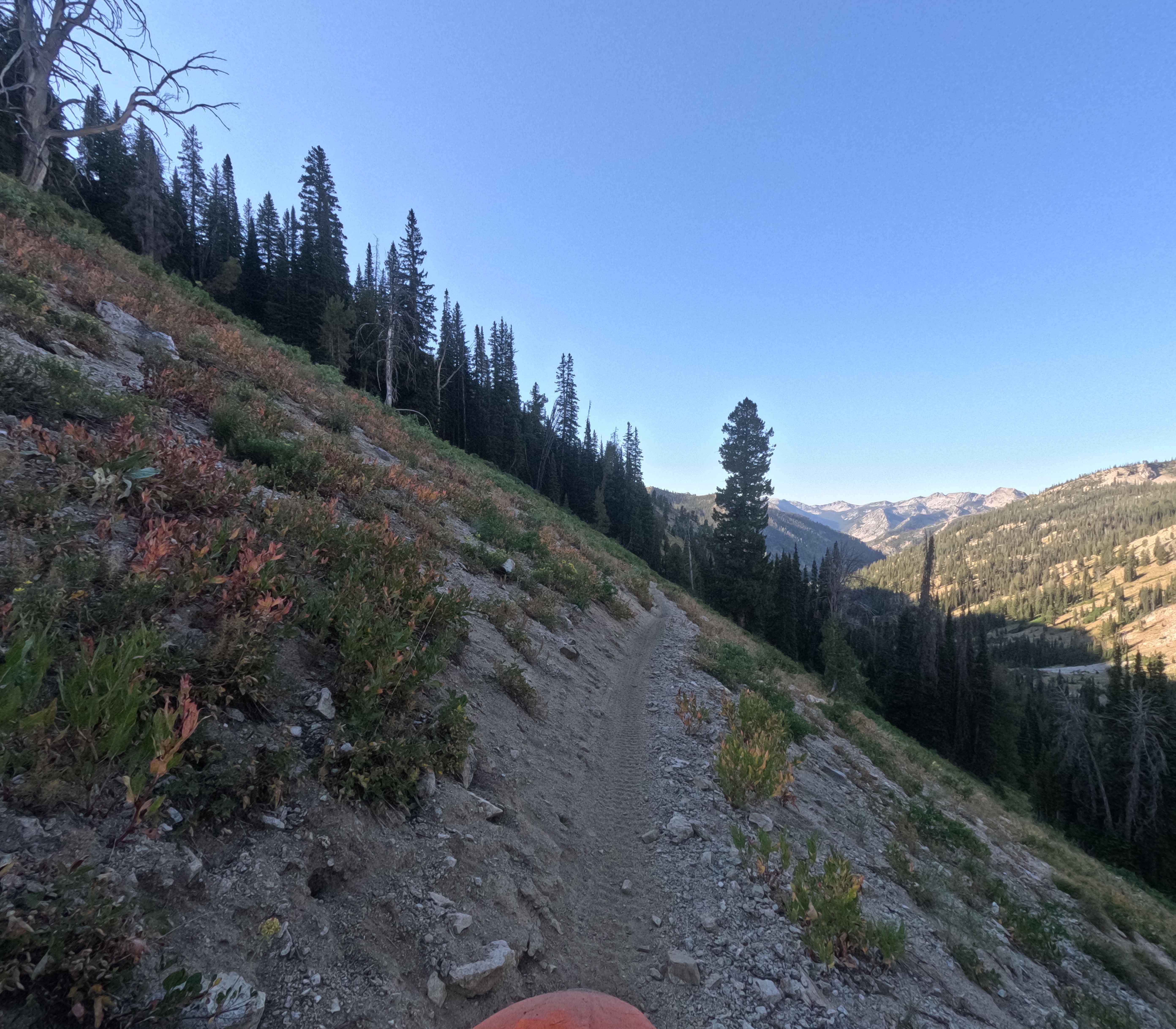 North Fork Ross Fork - FS 7226