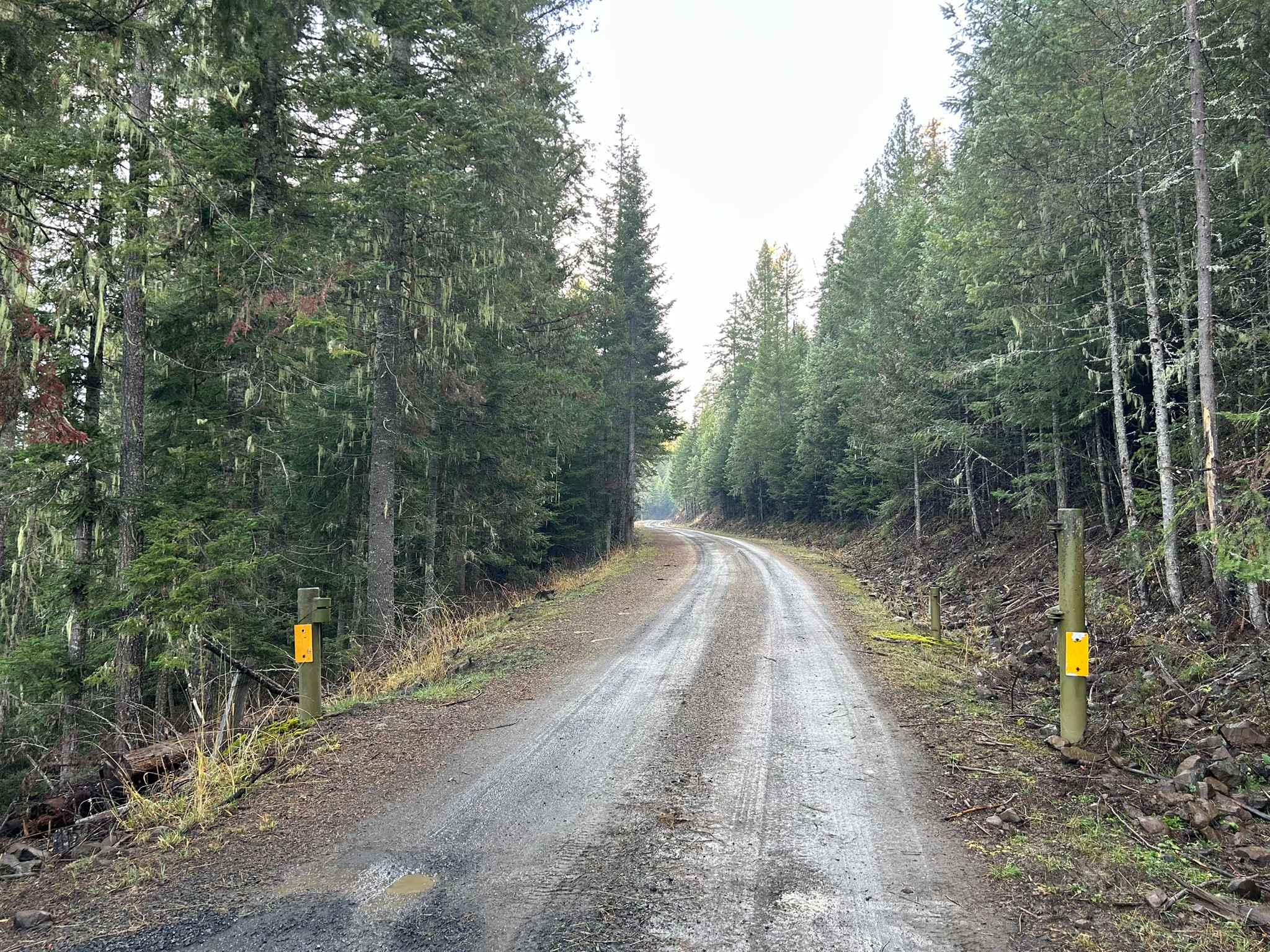 Potlatch River - FS 3332