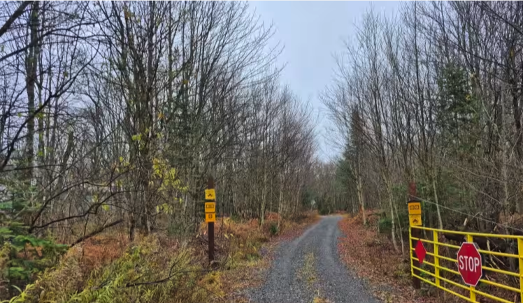 Fall Brook Easement Road