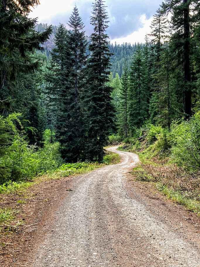 Gale Creek - FS 4948