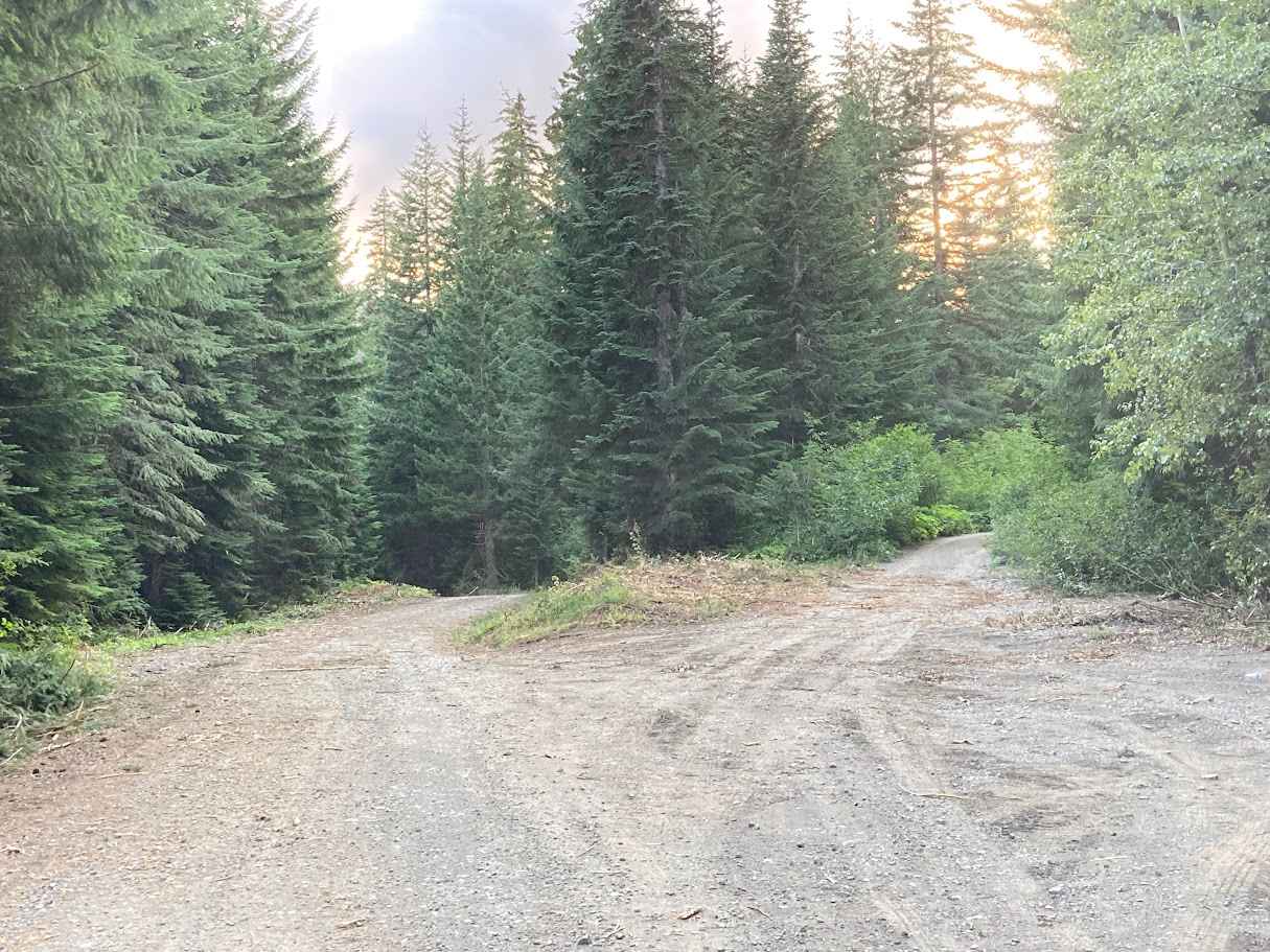 Gale Creek - FS 4948