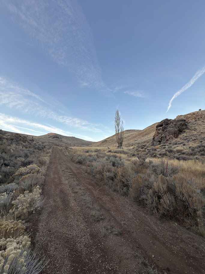 Miner's Draw Cabin - FS 6175, 6145, 6105