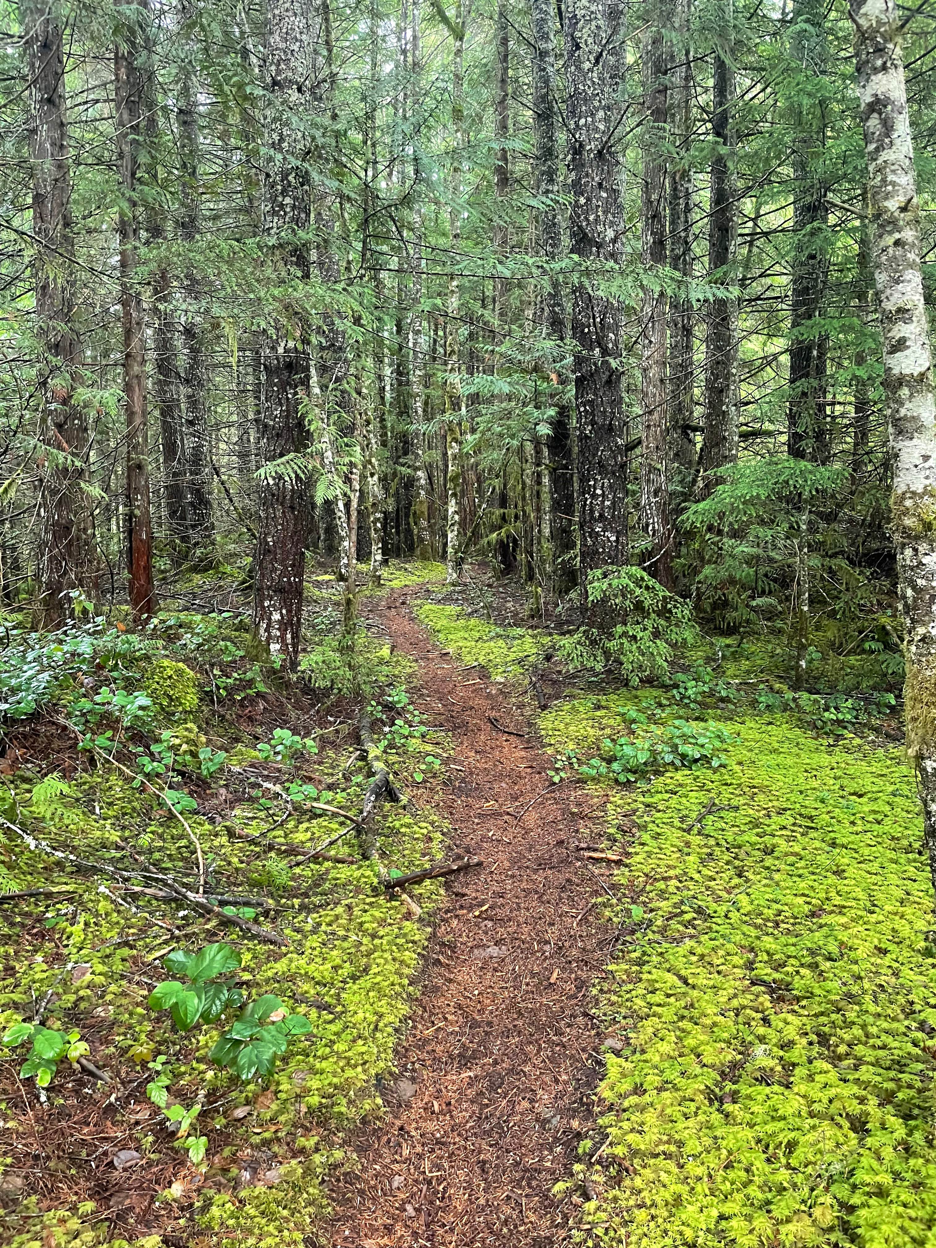 Soft Serve Connector