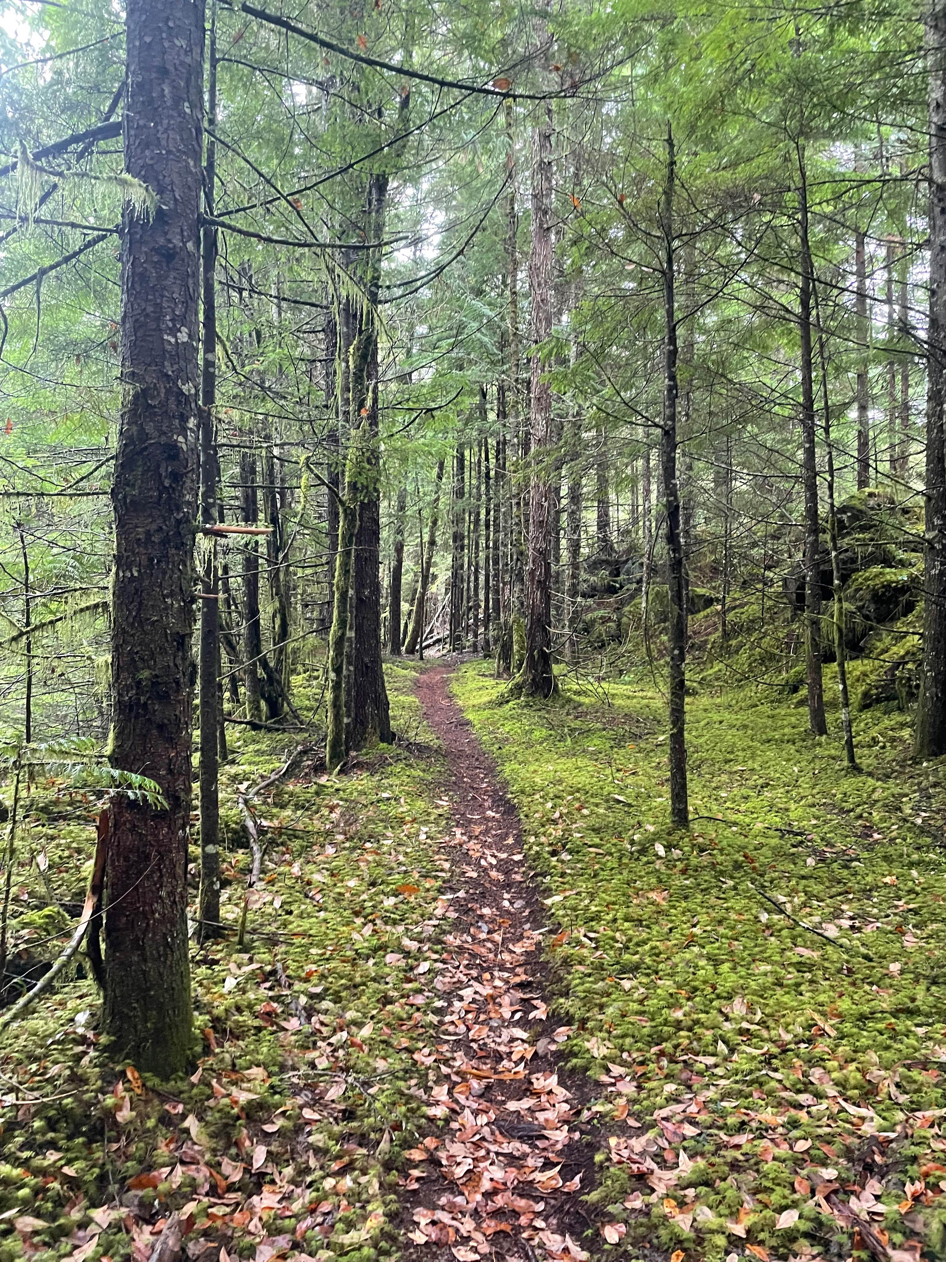 Soft Serve Connector