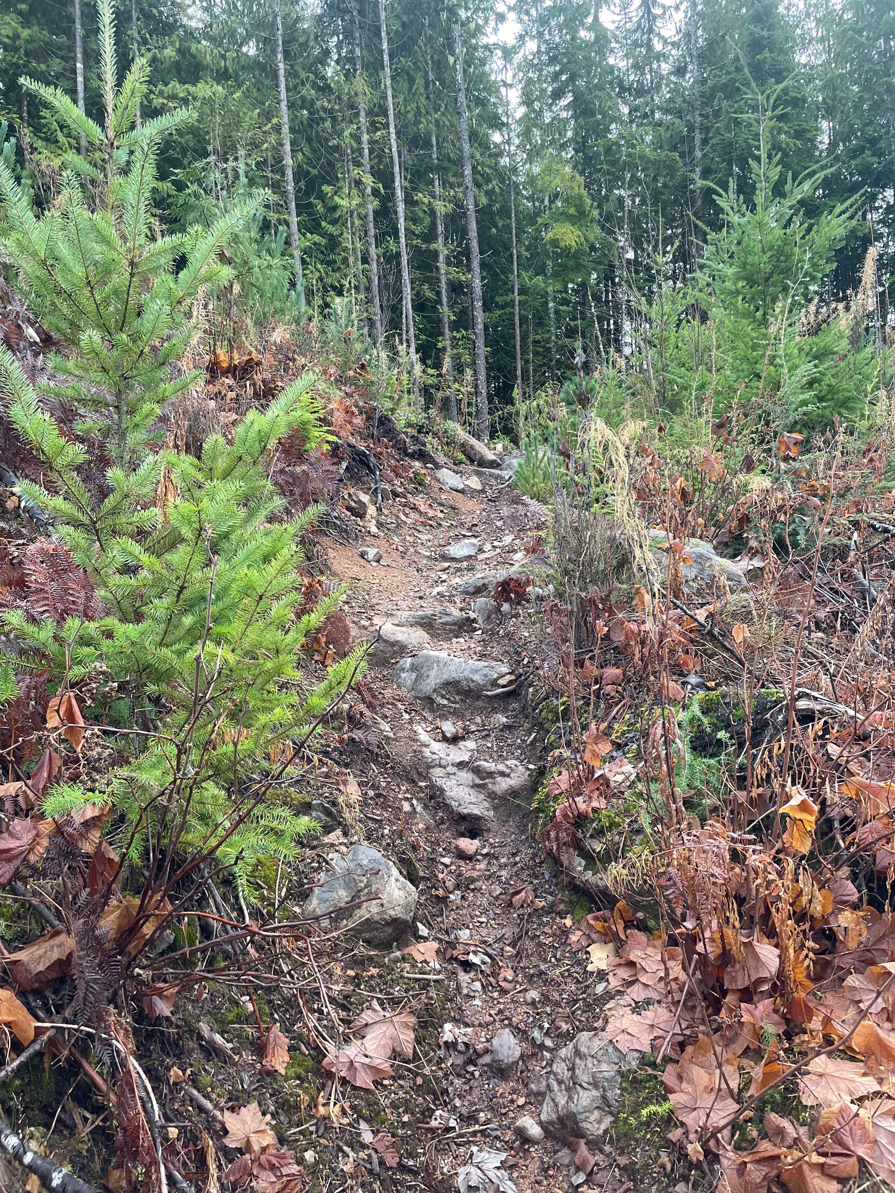 Advance and Vanquish