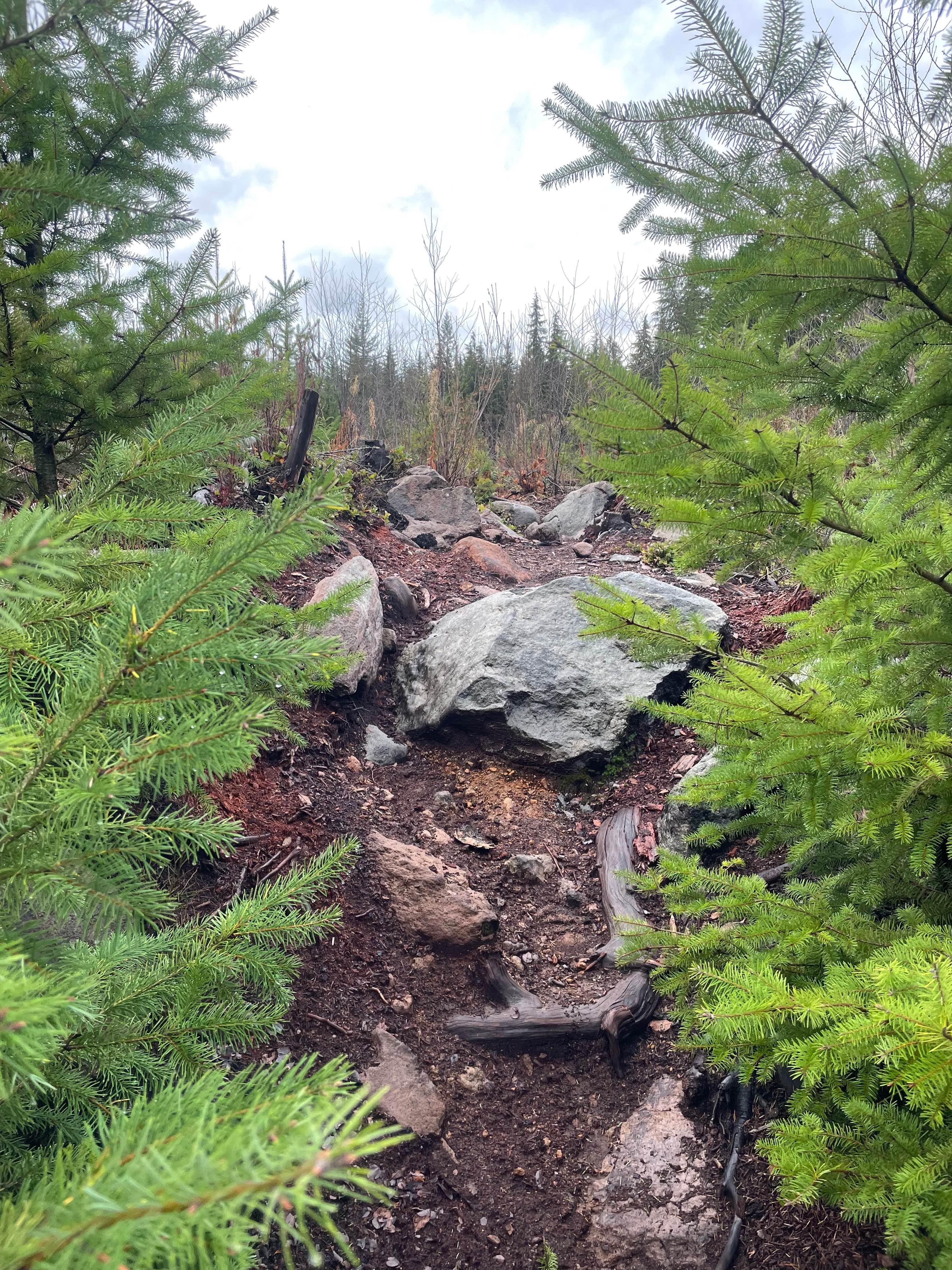 Advance and Vanquish