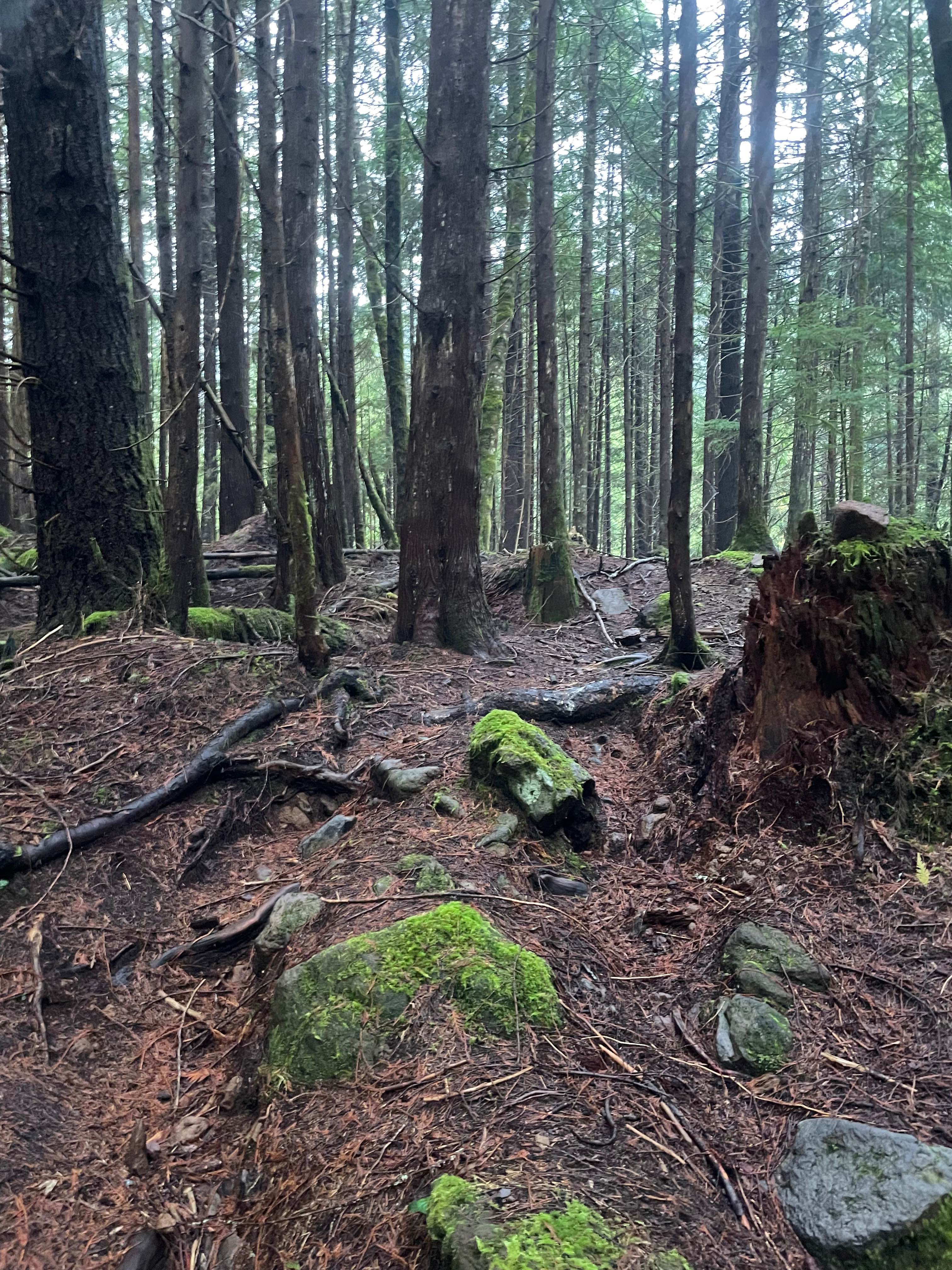 Sleepy Hallow Alternative