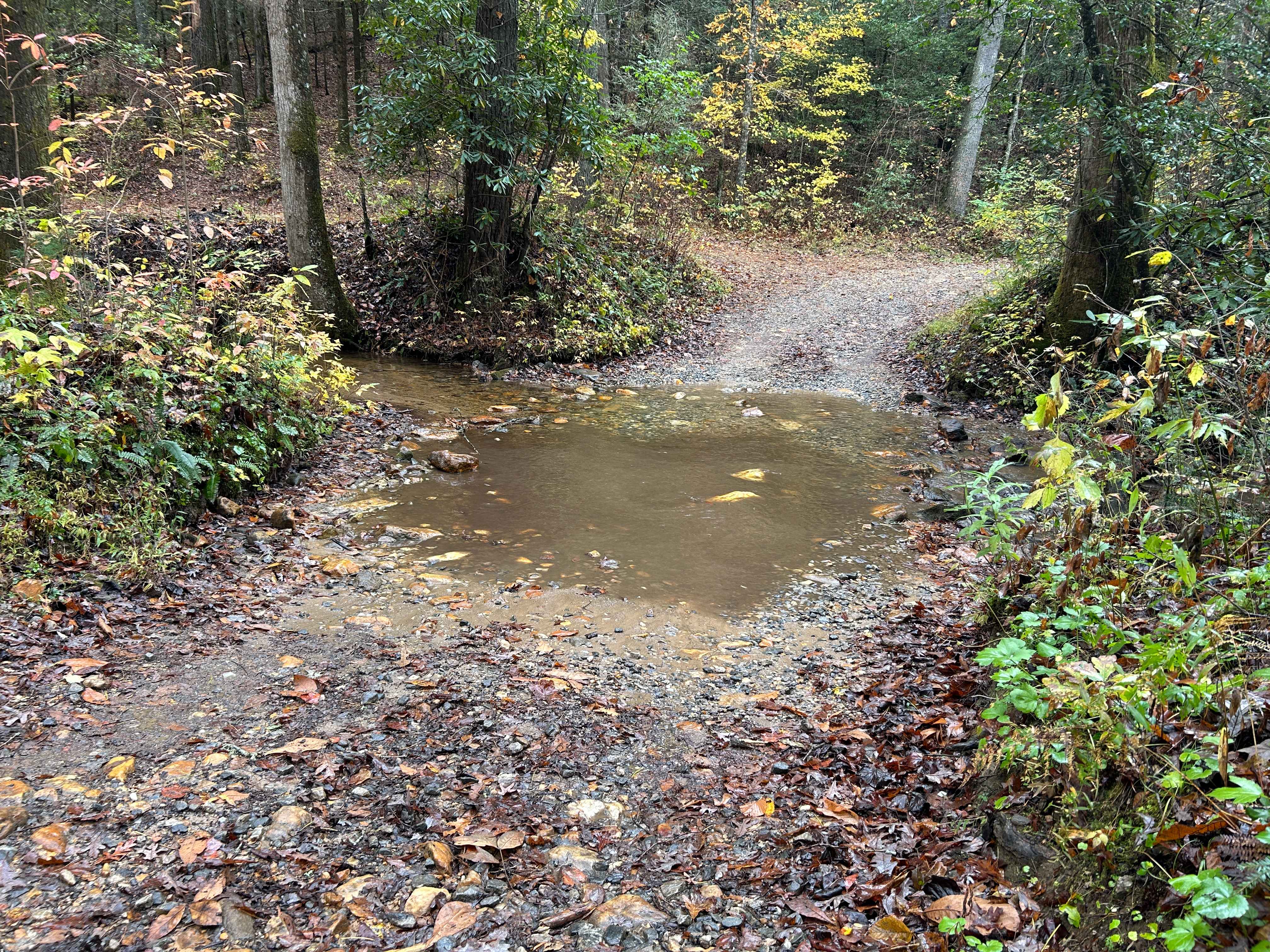 Toccoa River Road - FS 333