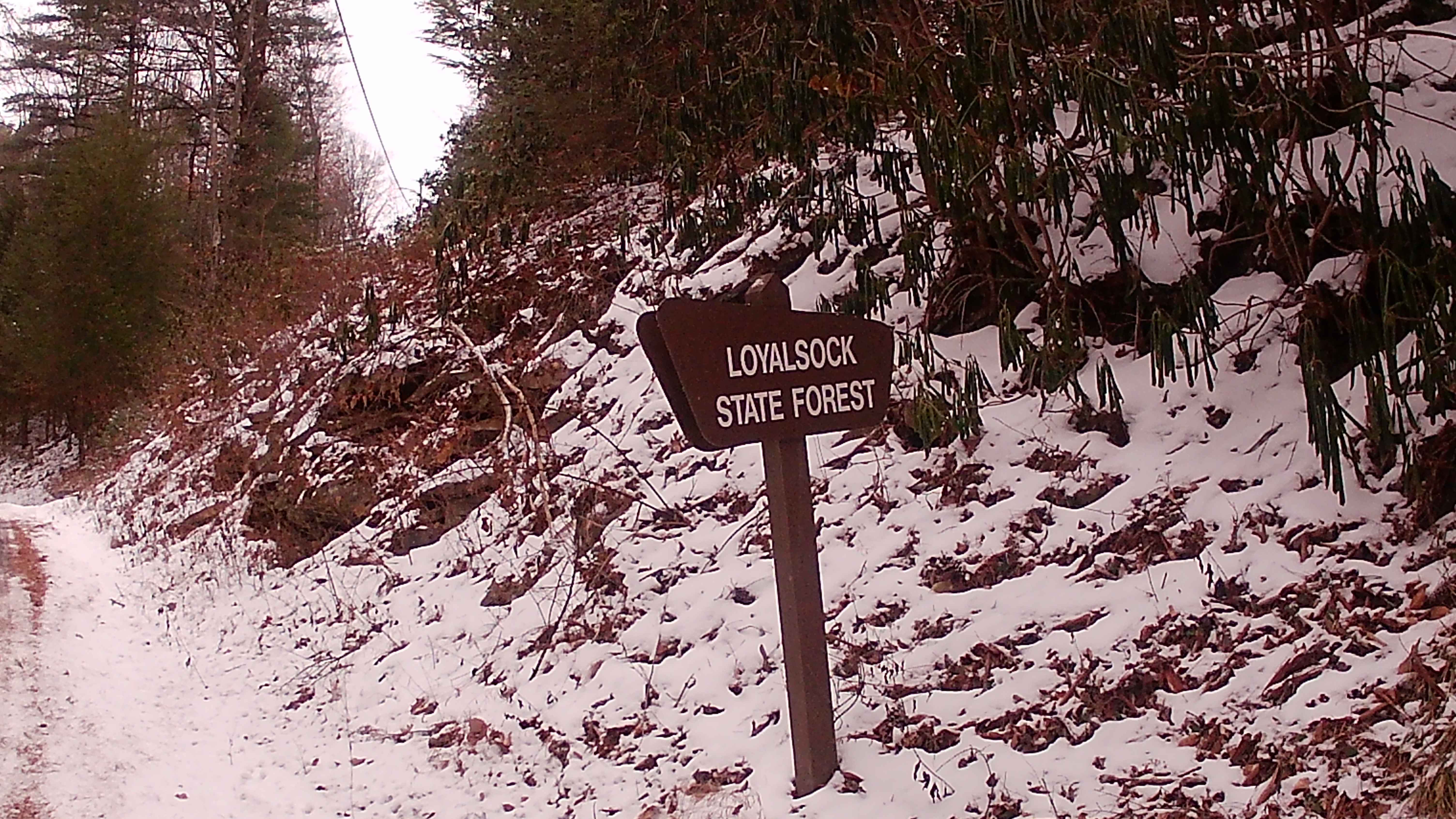 Butternut Grove Road