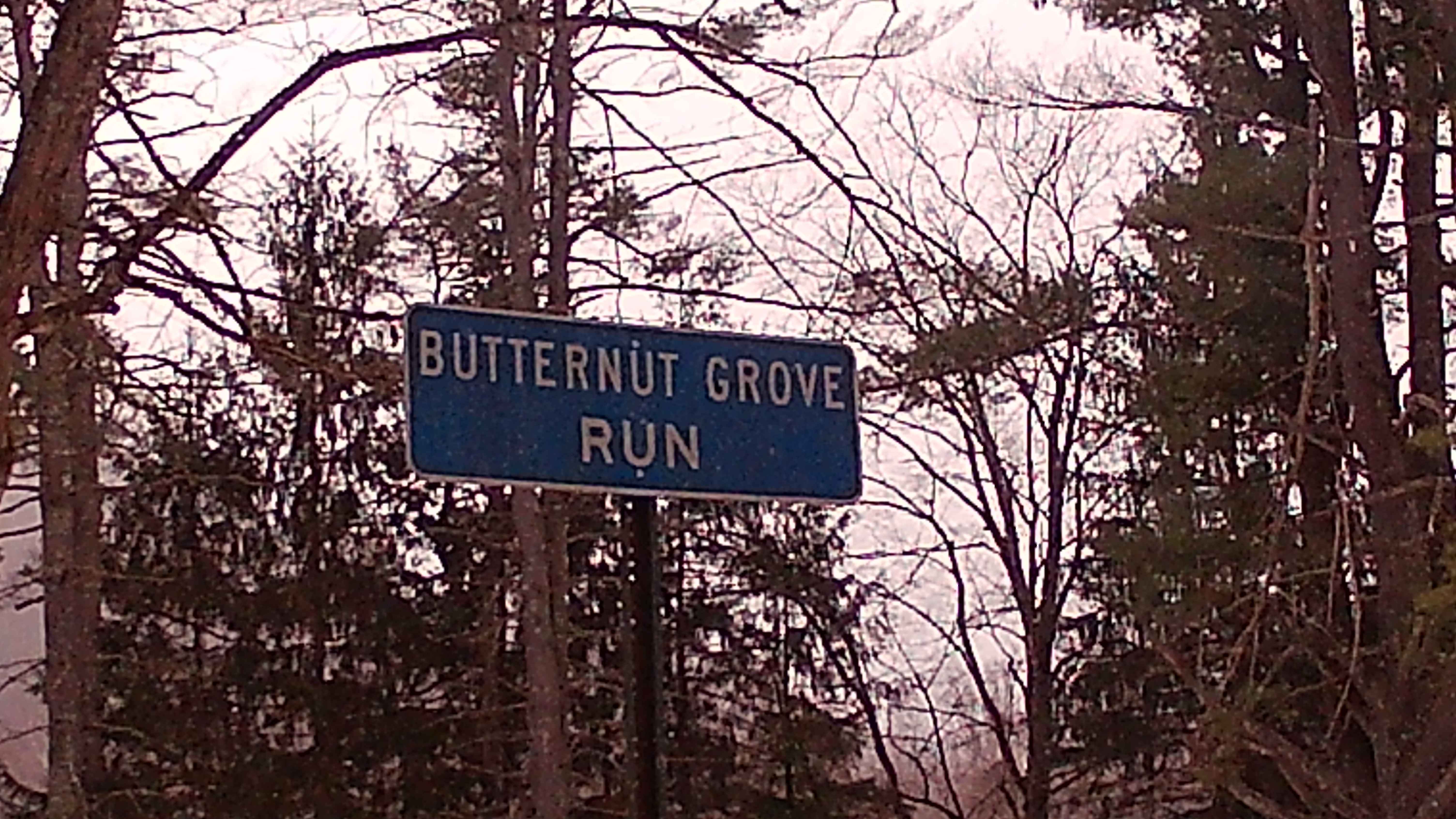 Butternut Grove Road